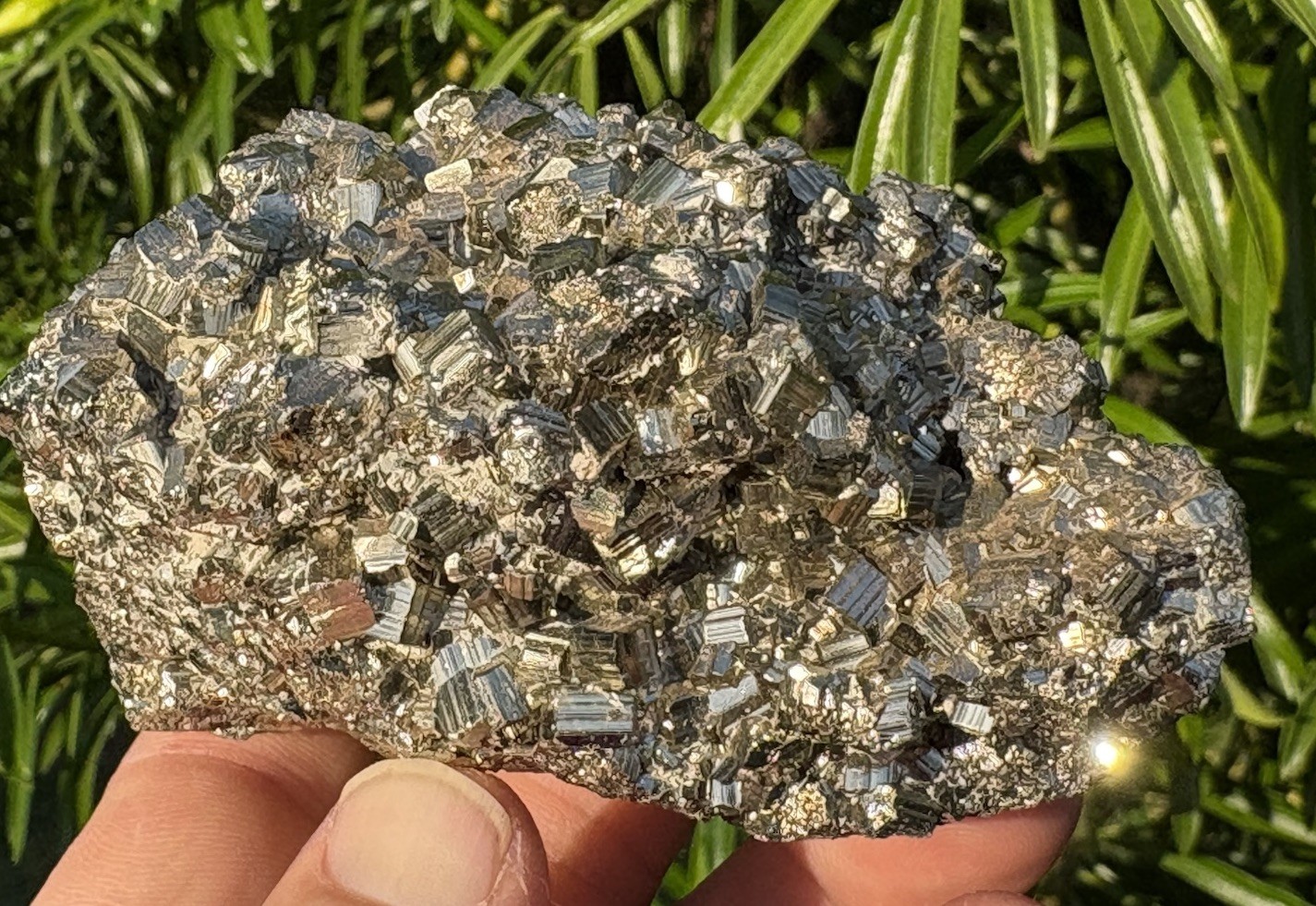 ☘️RR⛏️: Excellent Cubic Pyrite Mundo Nuevo Mine, Peru, 1.5 Lb!