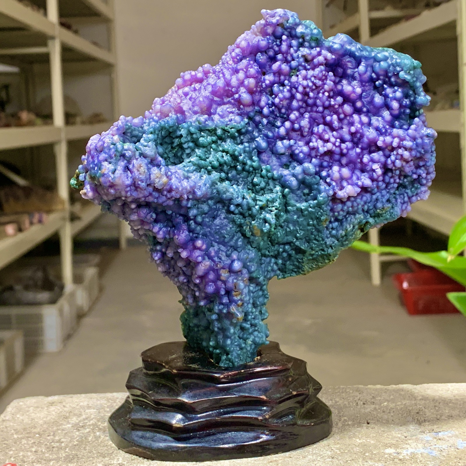 2.25LB Natural purple grape agate quartz crystal granular mineral specimen
