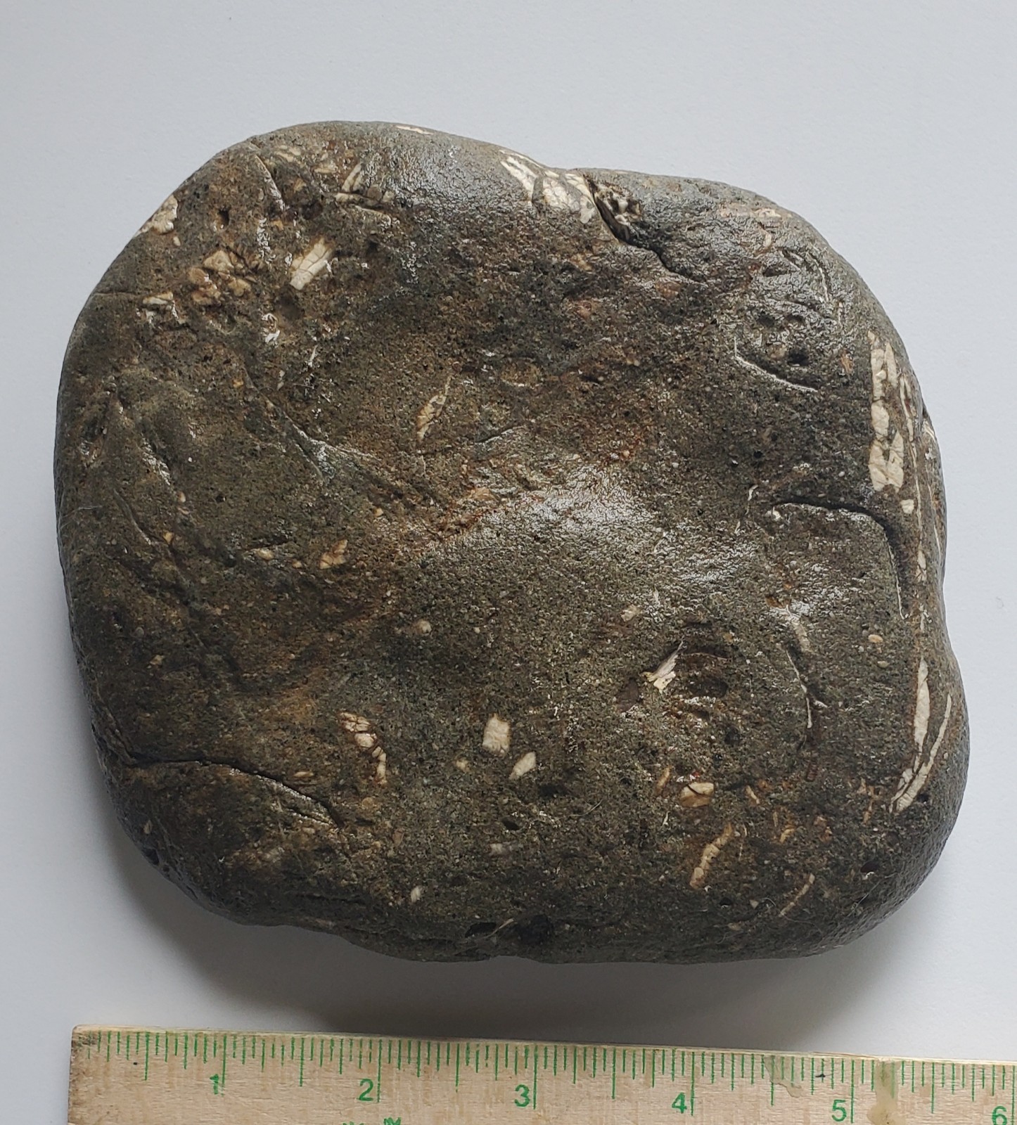 Fossil Hash 5.5″ X 5.5″ 2.2 Pounds