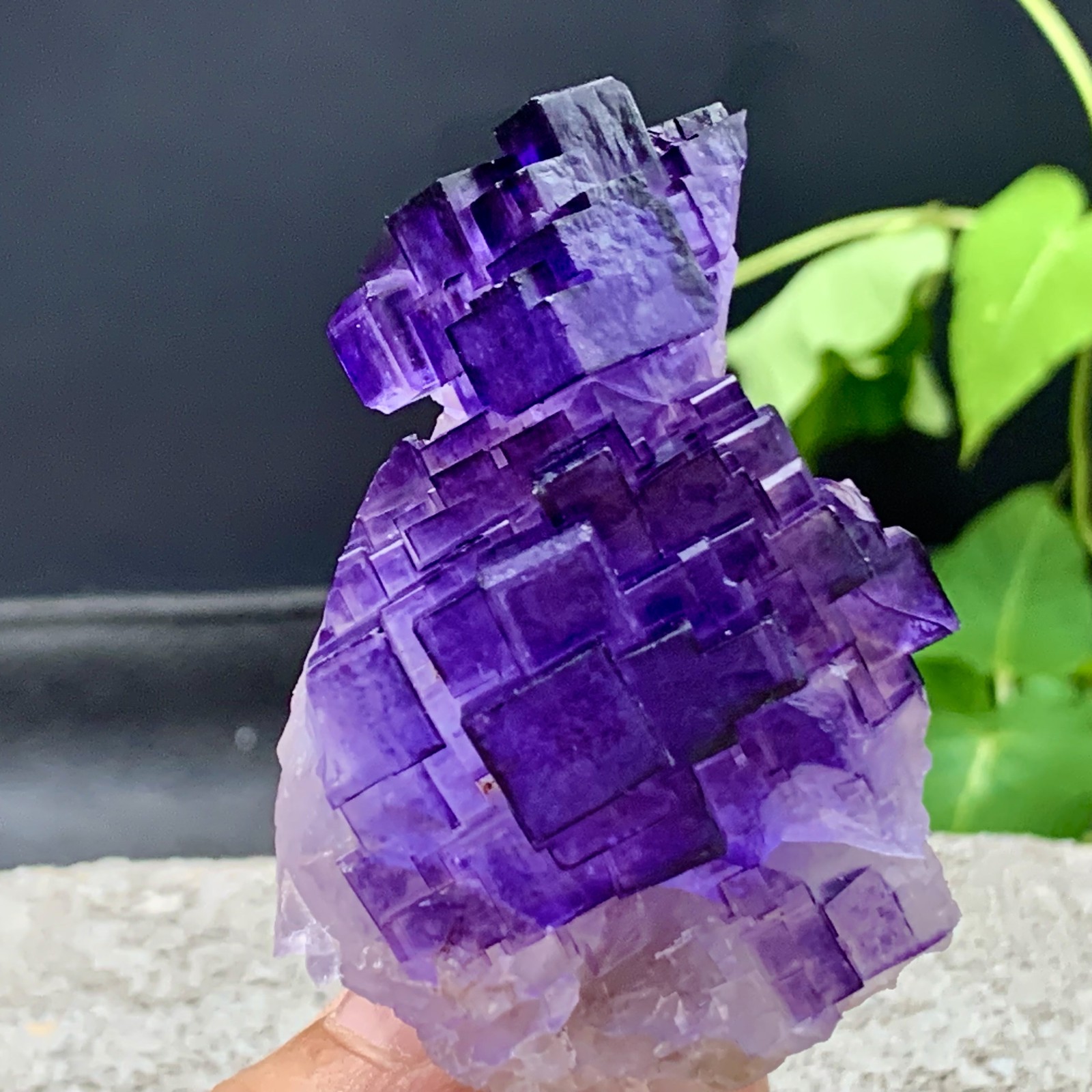 112G Natural purple, QR code fluorite, mineral specimen/China