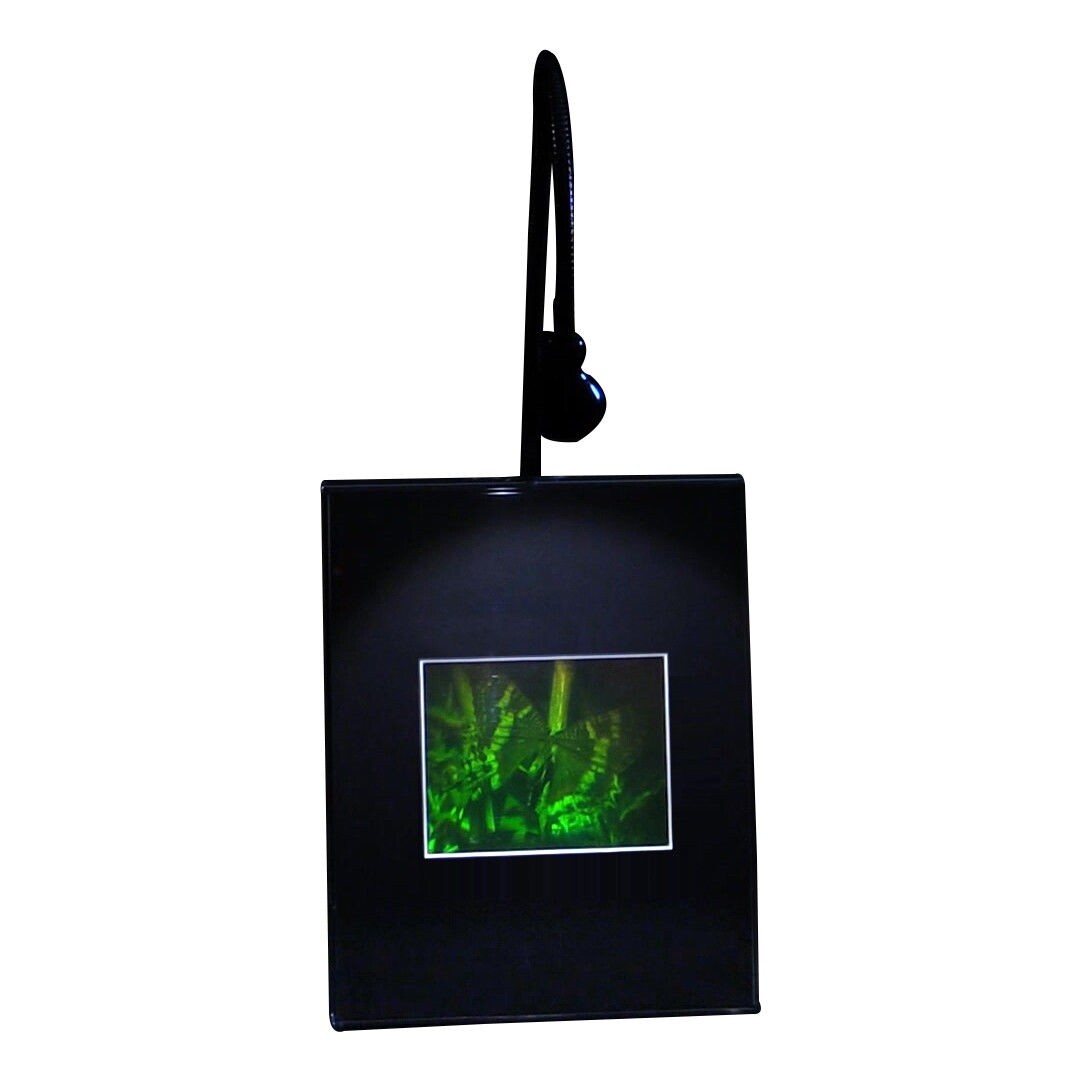 3D Butterfly Hologram Picture LIGHTED DESK STAND Silver Halide Type Film