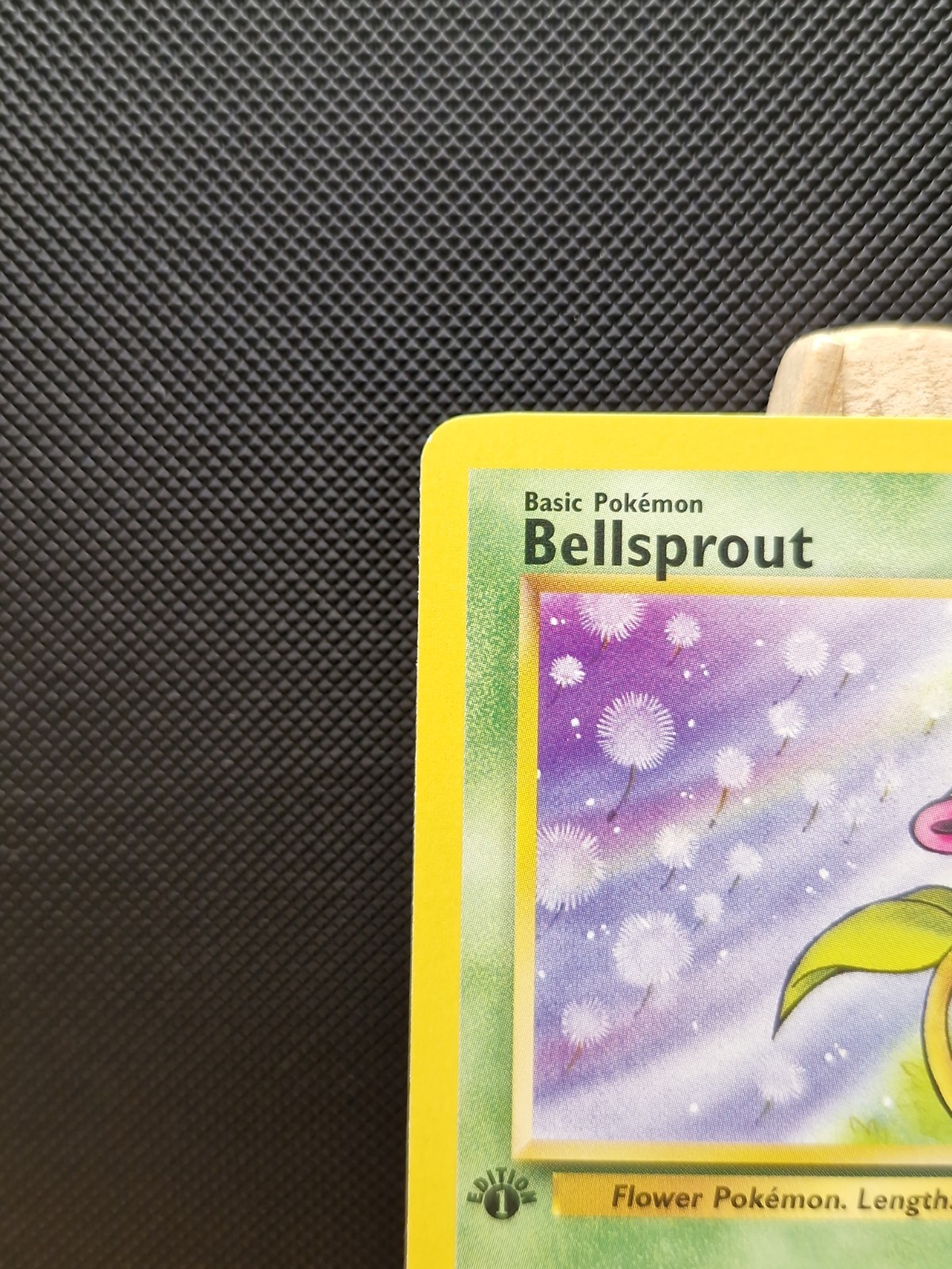 Pokemon TCG 1999 WOTC Jungle 1st Edition Bellsprout 49/64 – Excellent