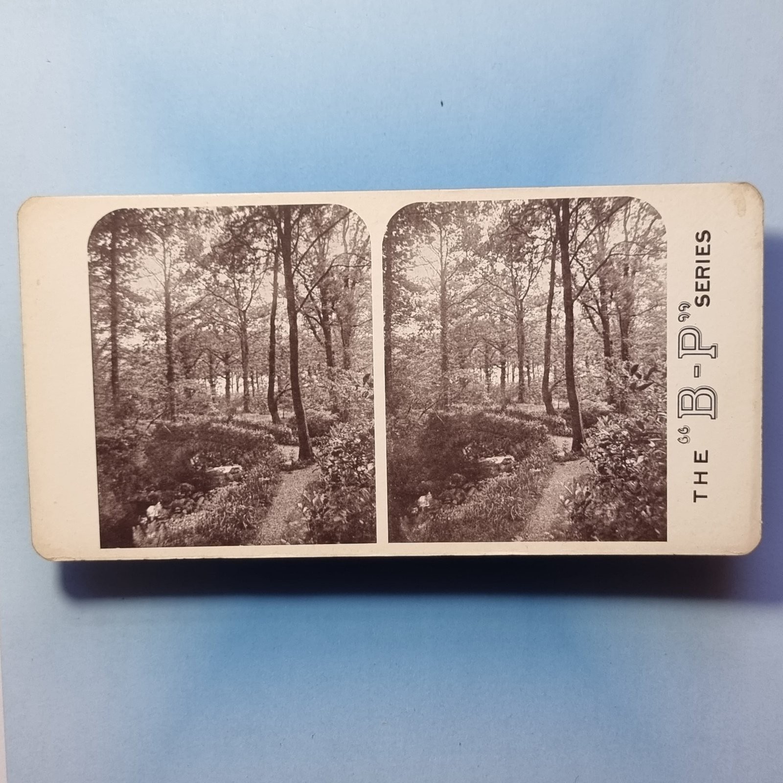 Lake District Victorian Stereoview 3D C1900 Barrow Falls Woods Cumbria