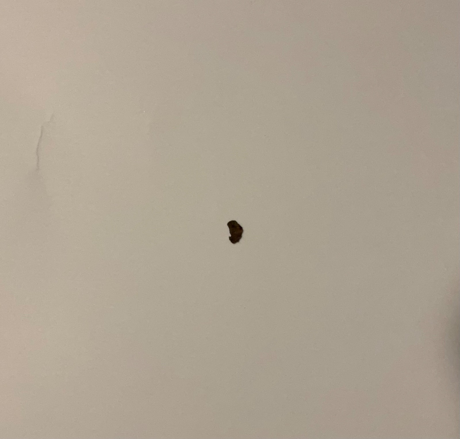 A authentic piece of the Eiffel Tower! [READ DESCRIPTION.] personally got myself