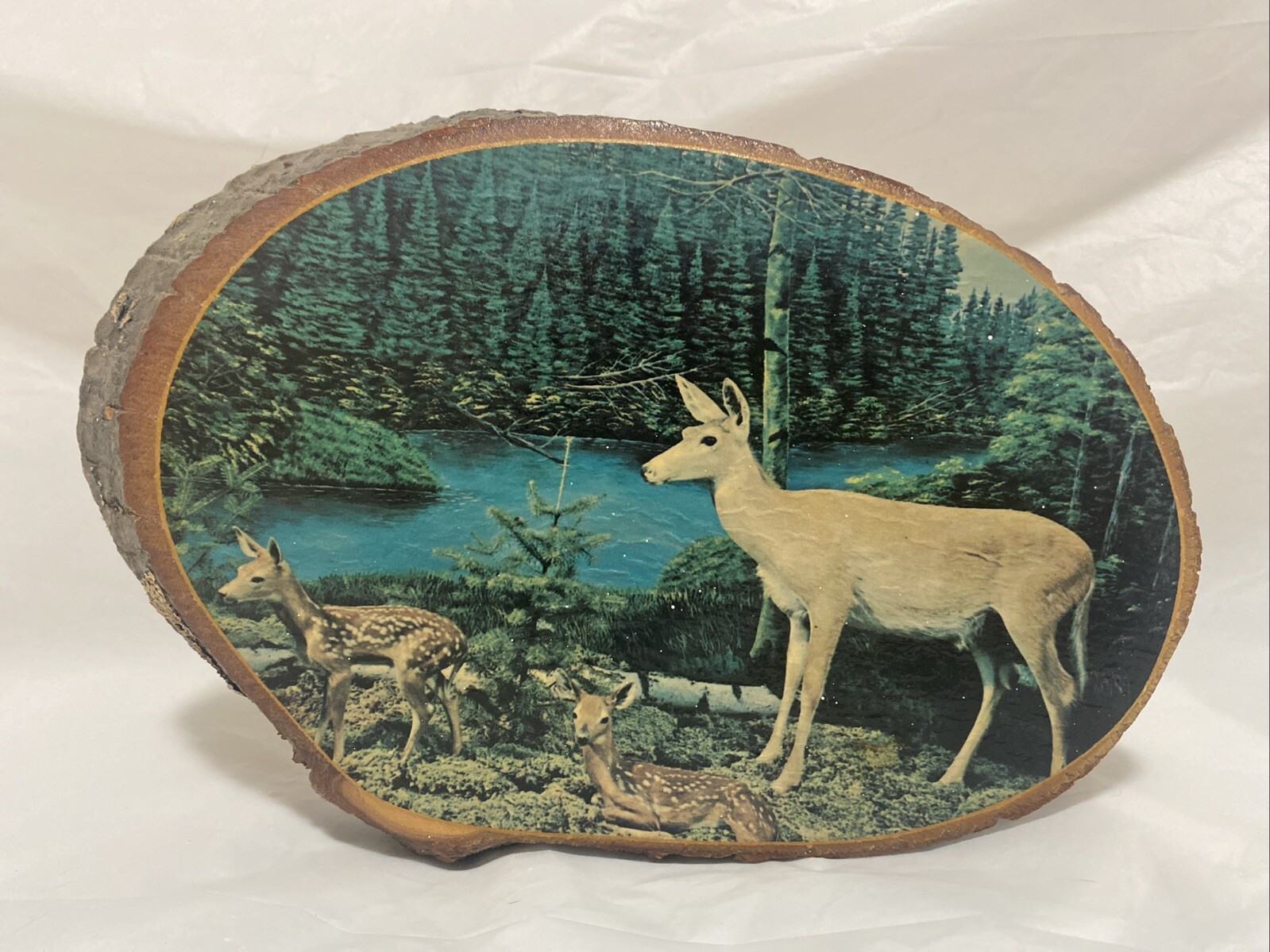Vintage 1960’s Doe and Two Fawns Picture on Real Tree Slice Lincoln’s Silver $
