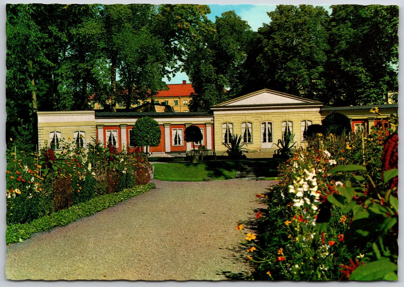 Vintage Uppsala Linnaean Garden Sweden Postcard by Axel Pettersson