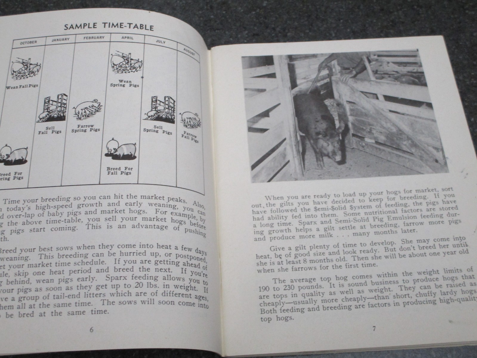 CONSOLIDATED PRODUCTS COMPANY 1954 40 GOLDEN ACRES RAISING HOGS BOOKLET DANVILLE