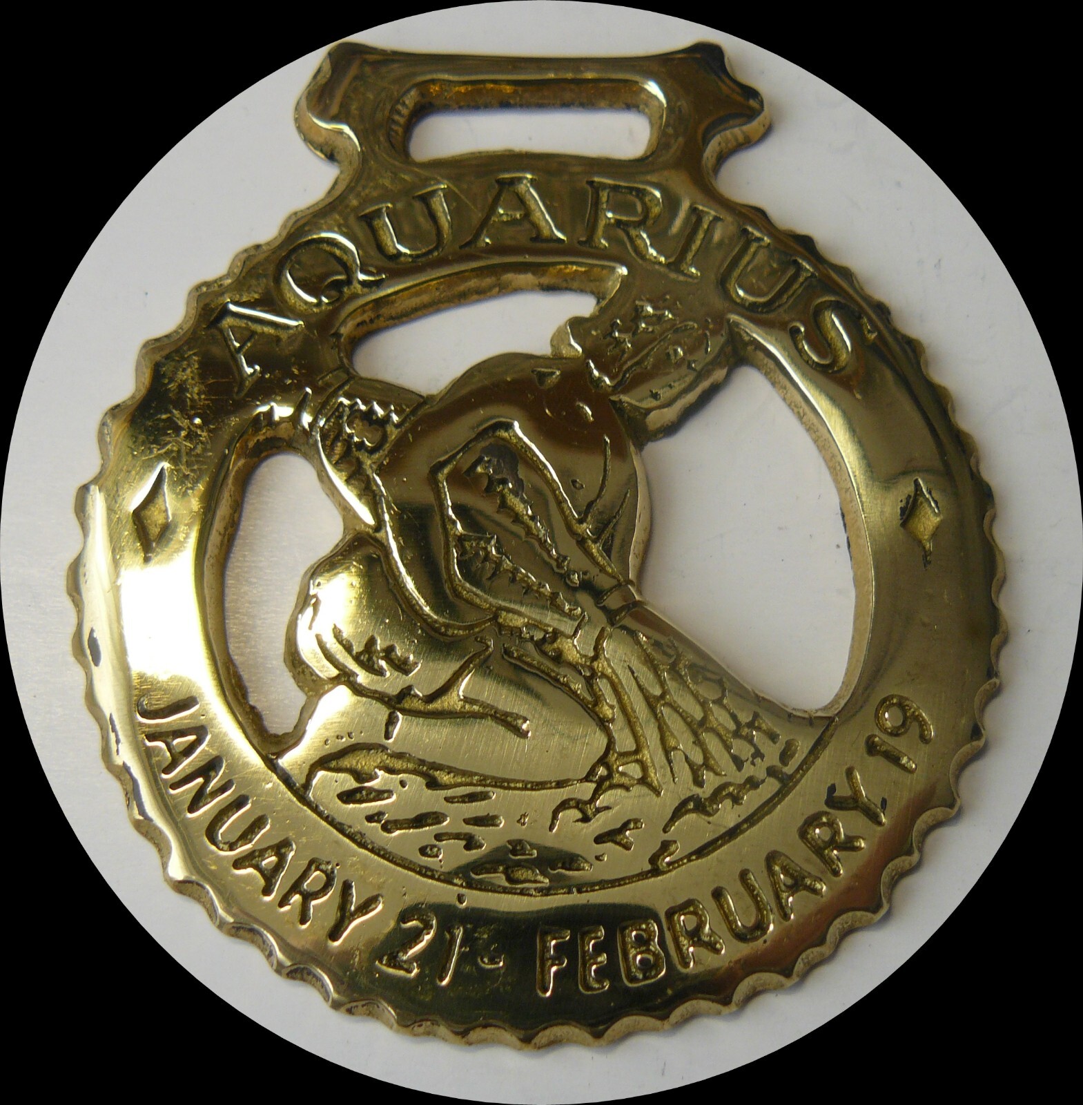 AQUARIUS Astrology Horse brass (N750)