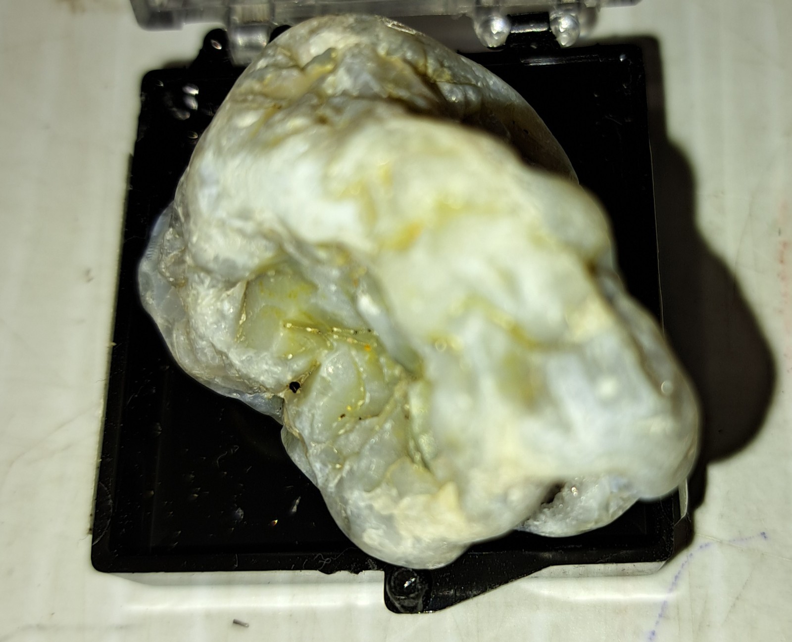 OREGON AGATE COLLECTION – 19 SPECIMENS IN PLEXI CASES – SUPERB COLORS & PATTERNS