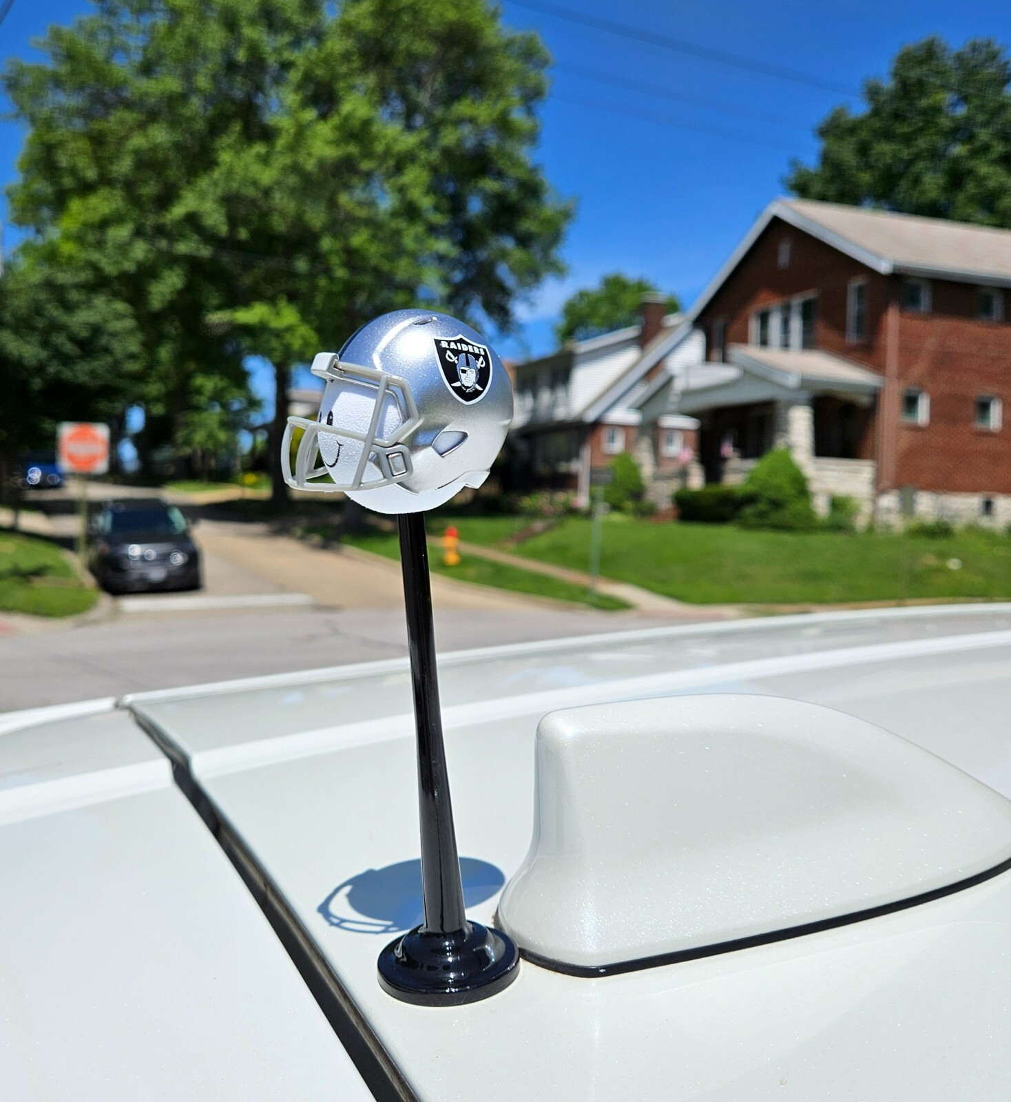 Las Vegas Raiders Car, Truck, SUV Topper with Universal Magnetic Roof Stand