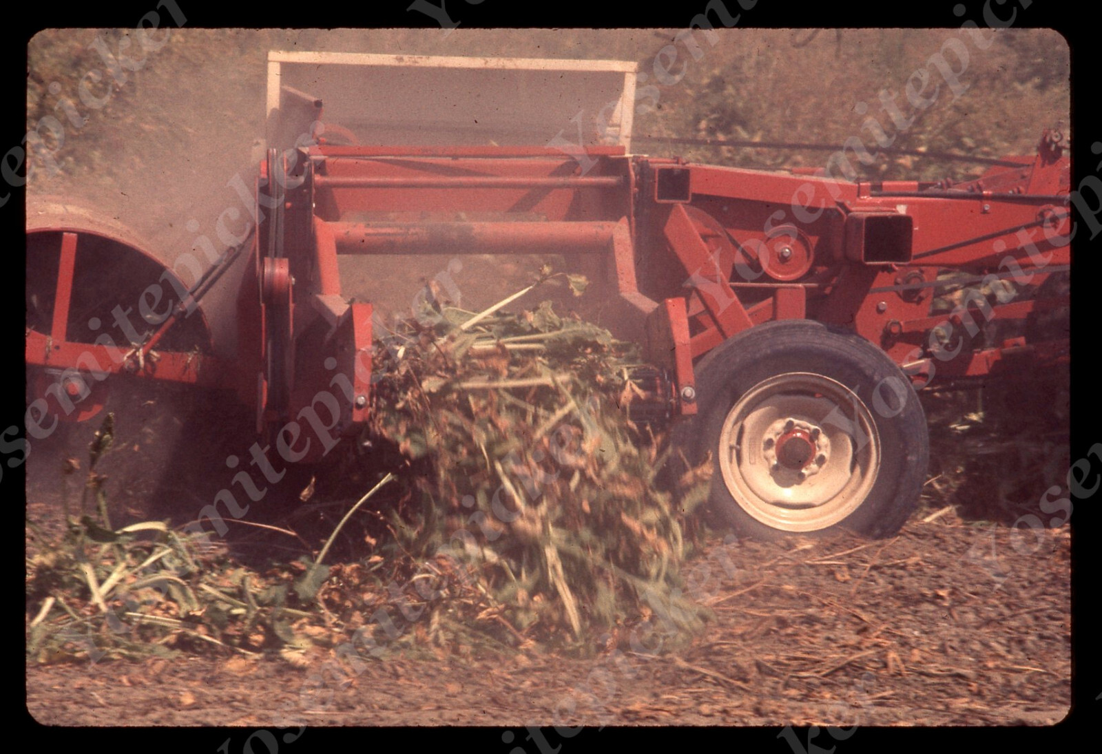 sl90 Original slide 1970’s California Farm International tractor Beet 739