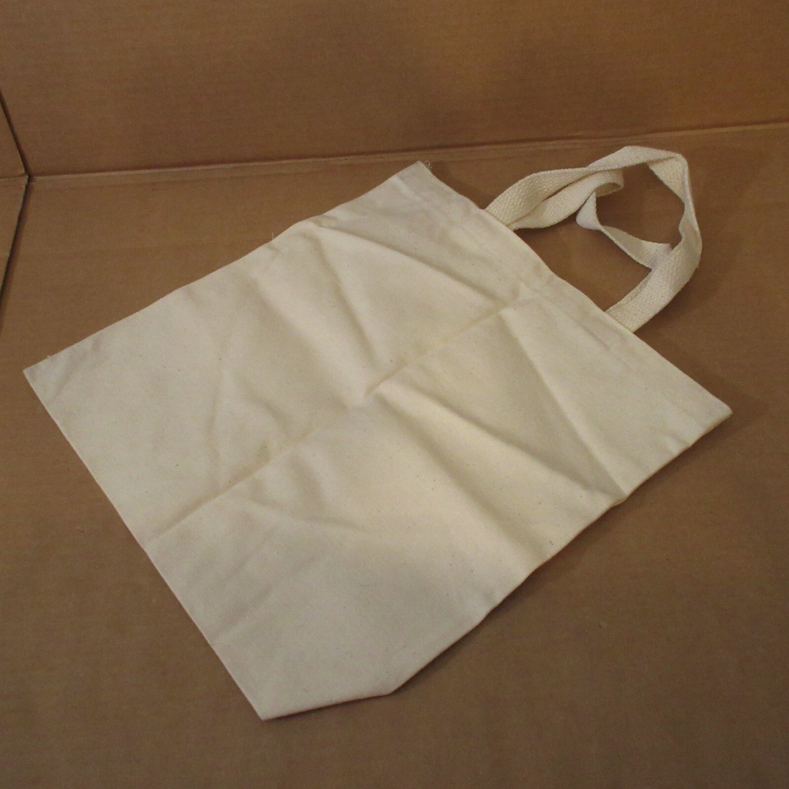 Vtg Defunct HECHT’S Department Store Mall Dept Shopping Bag Tote Advertising 14″