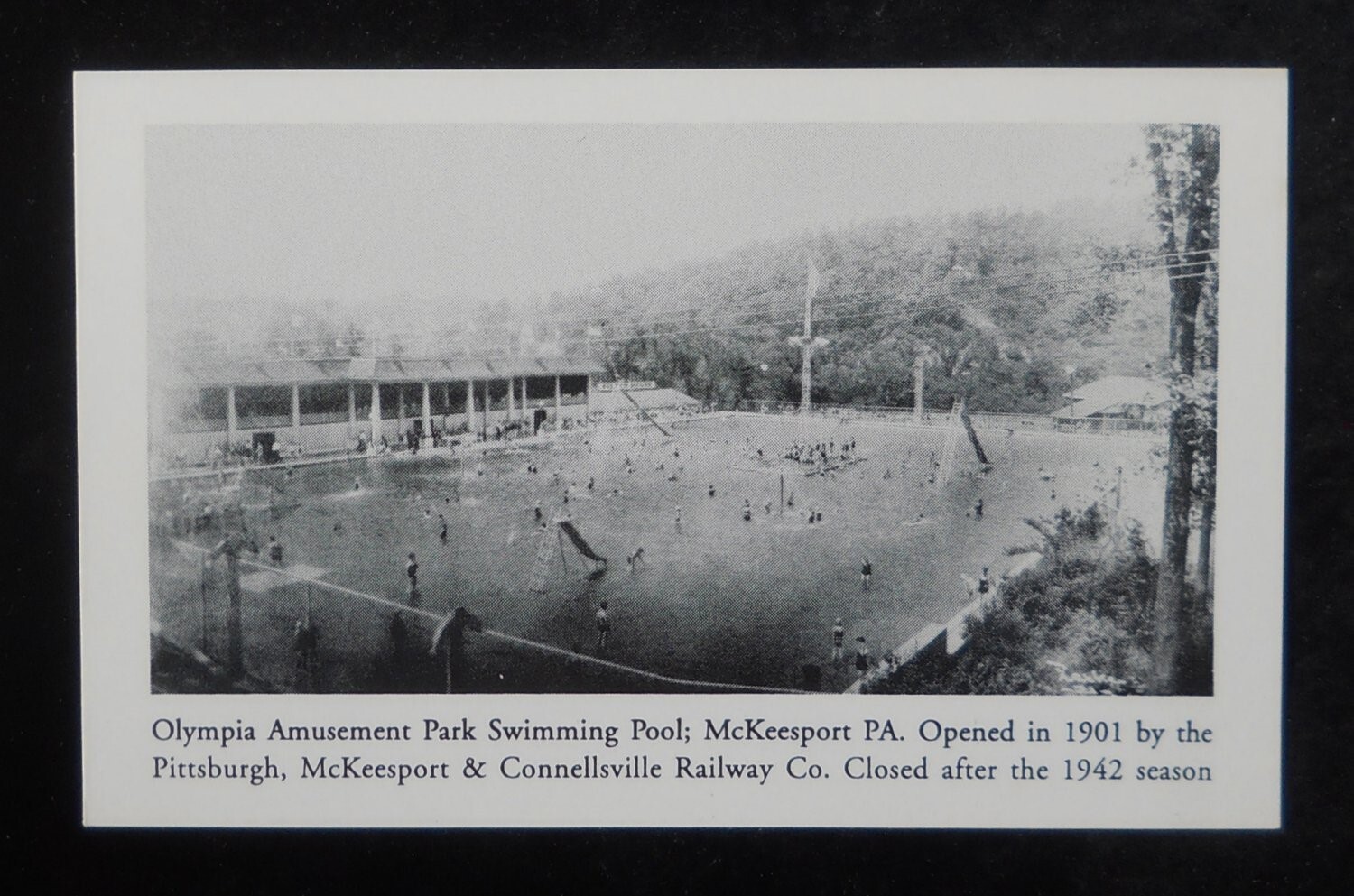 1990s 1920s? View Olympia Amusement Park Swimming Pool Railway Co. McKeesport PA