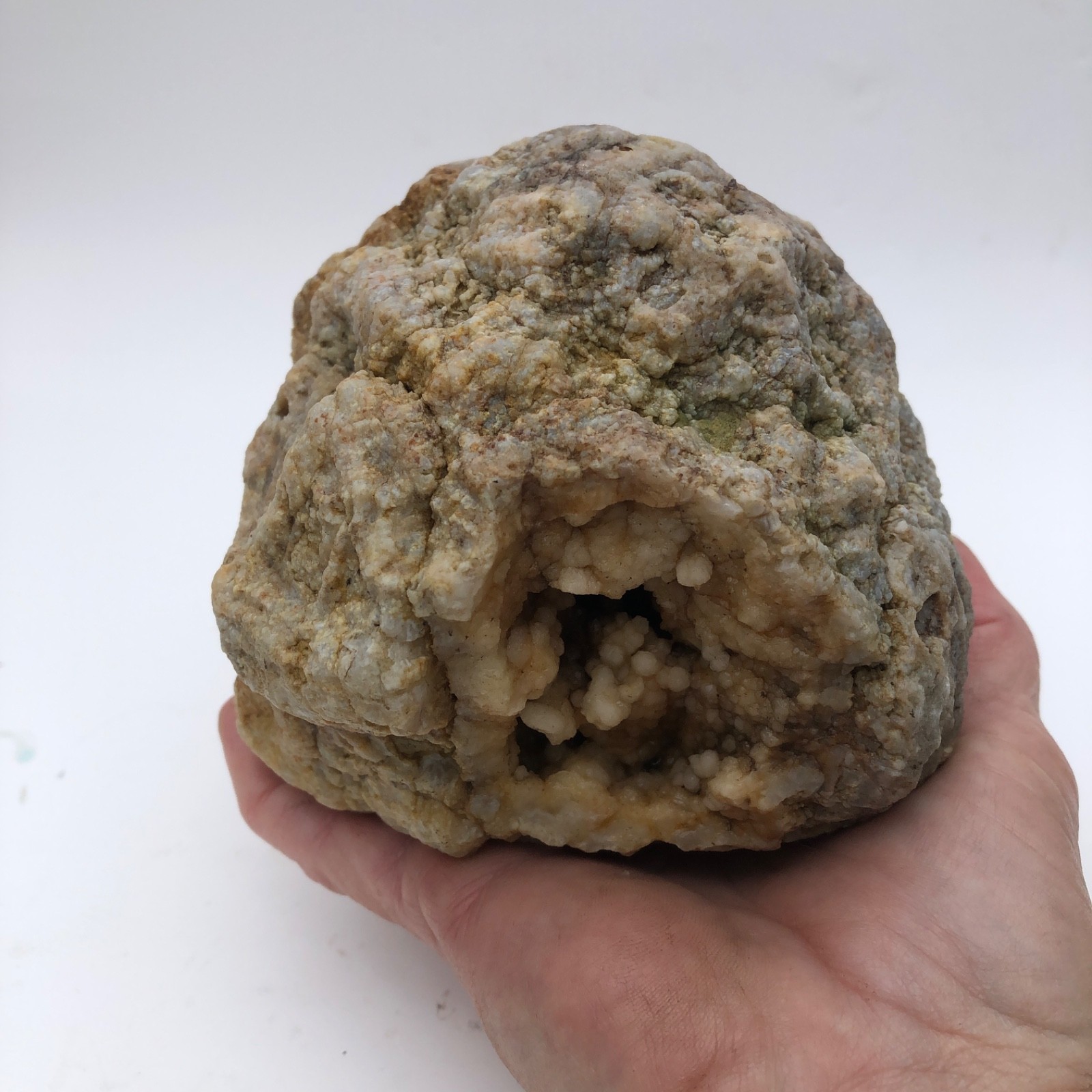 2.56 LB Kentucky Geode Rattler Whole Natural Crystal Exact Specimen 5″