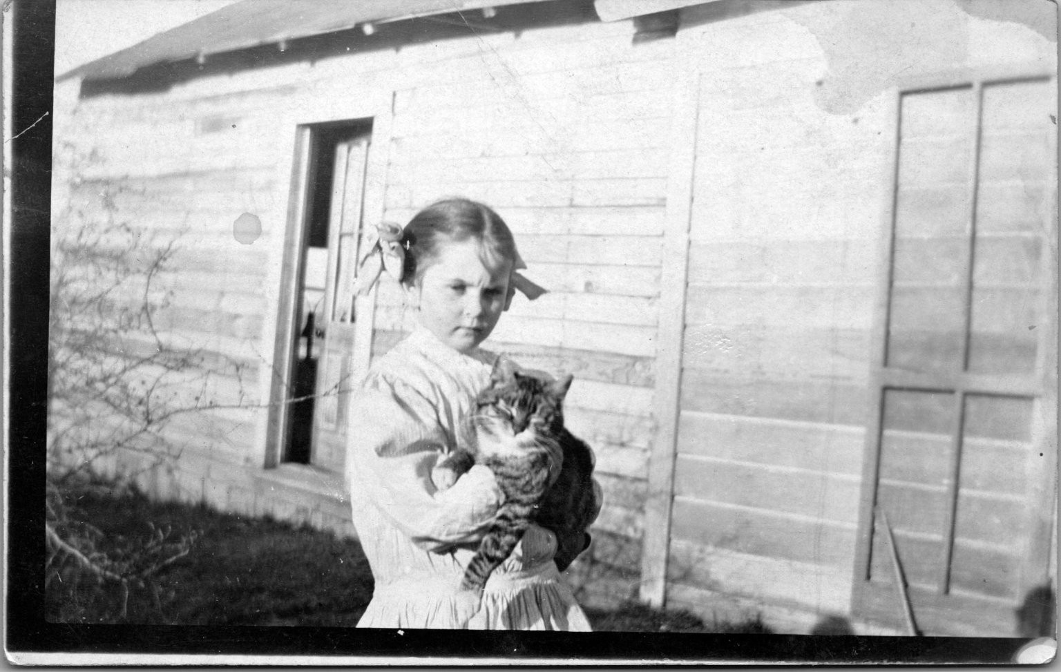 Vintage RPPC Real Photo Postcard Young Girl Holding Cat Kitten Pet Portrait Azo