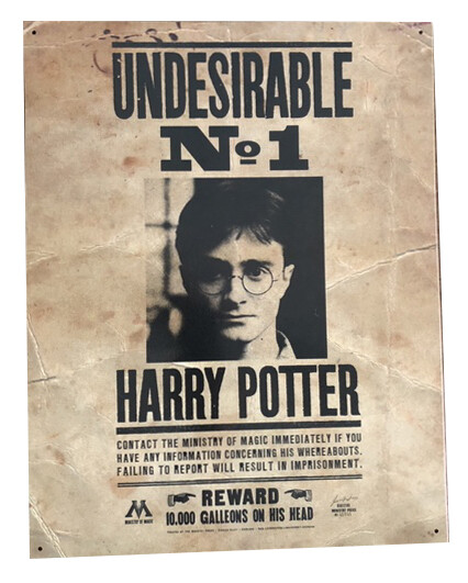 Harry Potter Officially Licensed 16×12.5in Metal Poster: Undesirable No1 Poster