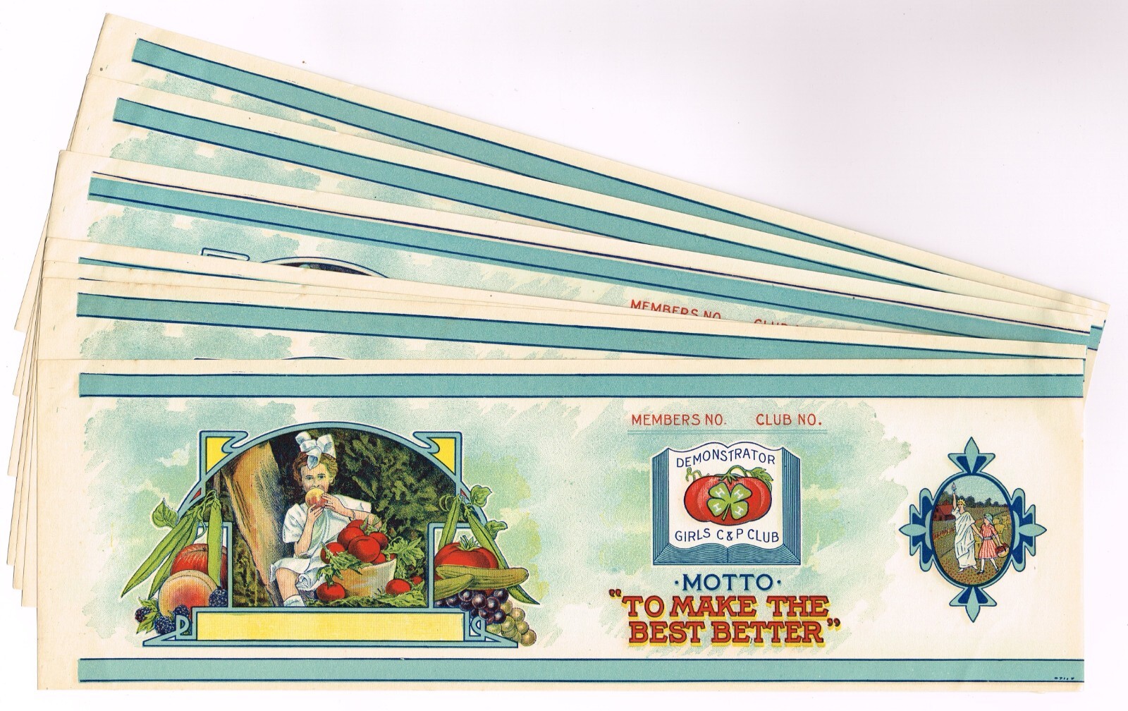 X10 WHOLESALE ORIGINAL TIN CAN LABEL C1910 VINTAGE 4H GIRLS CANNING & POULTRY