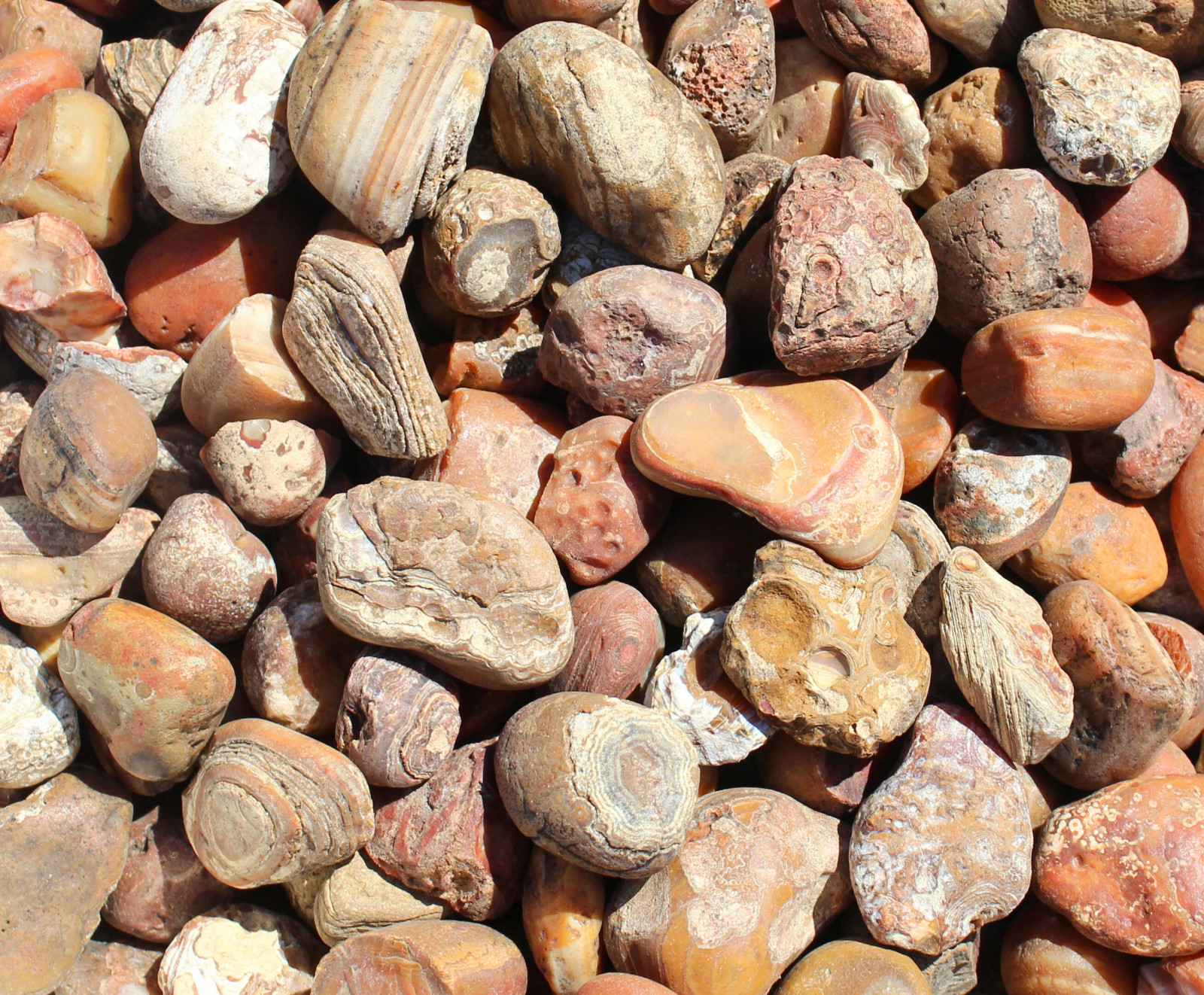 Bahia Agate – Rough Rocks for Tumbling – Bulk Wholesale 1LB options