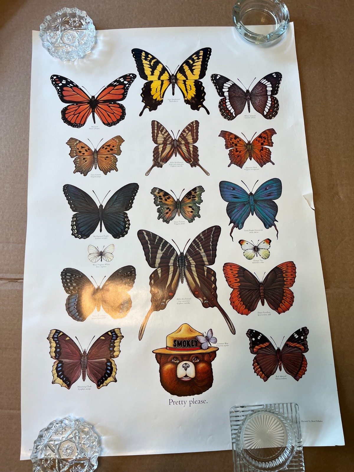 2 VTG Smokey the Bear 1980’s Educational Posters Butterflies & Insects