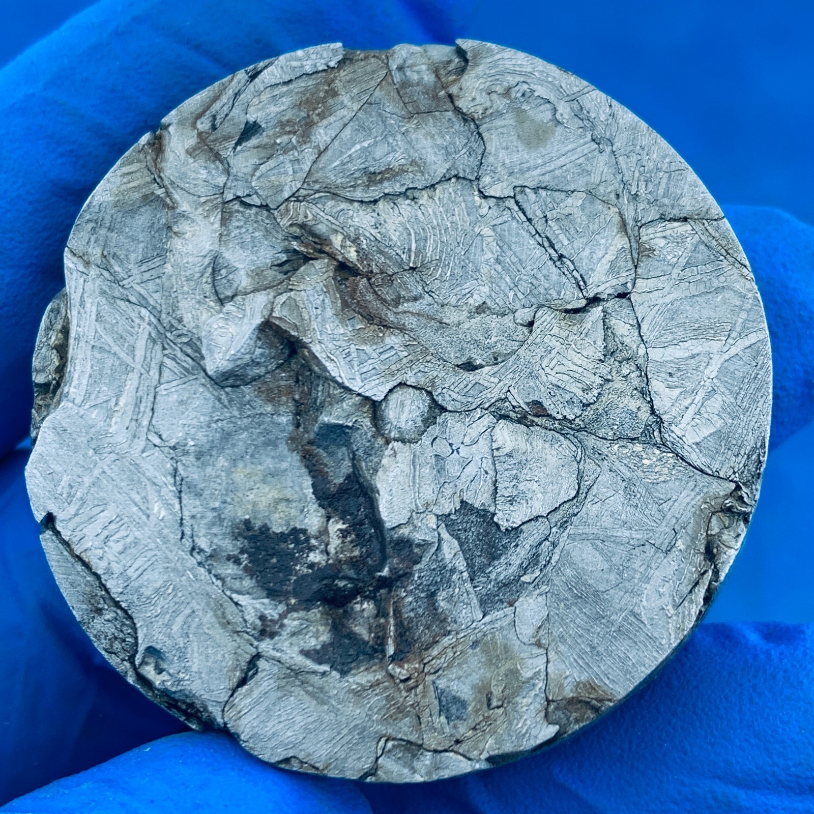 56.7gm Muonionalusta iron meteorite specimen After mixed melting LZ279