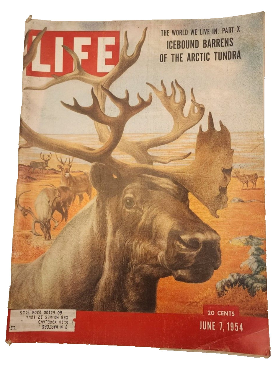 June 7, 1954 LIFE Magazine Advertising Old Ad advertising add FREE SHIPPING 6