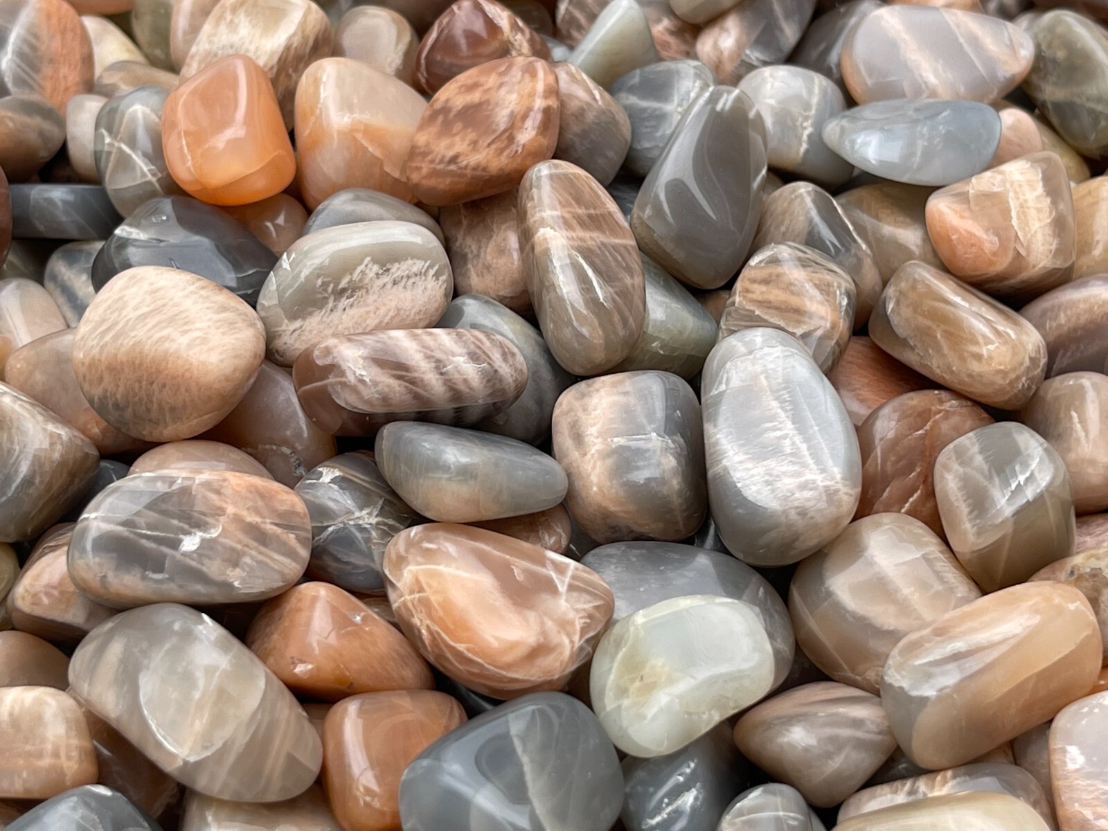 Grade A++ Moonstone Multi Tumbled Stones, 0.75-1″ Tumbled Multicolored Moonstone