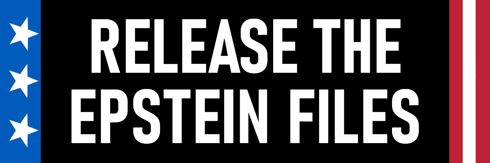 Release the Epstein Files Sticker Large 3×9 Patriotic No Cover-Up Stickers