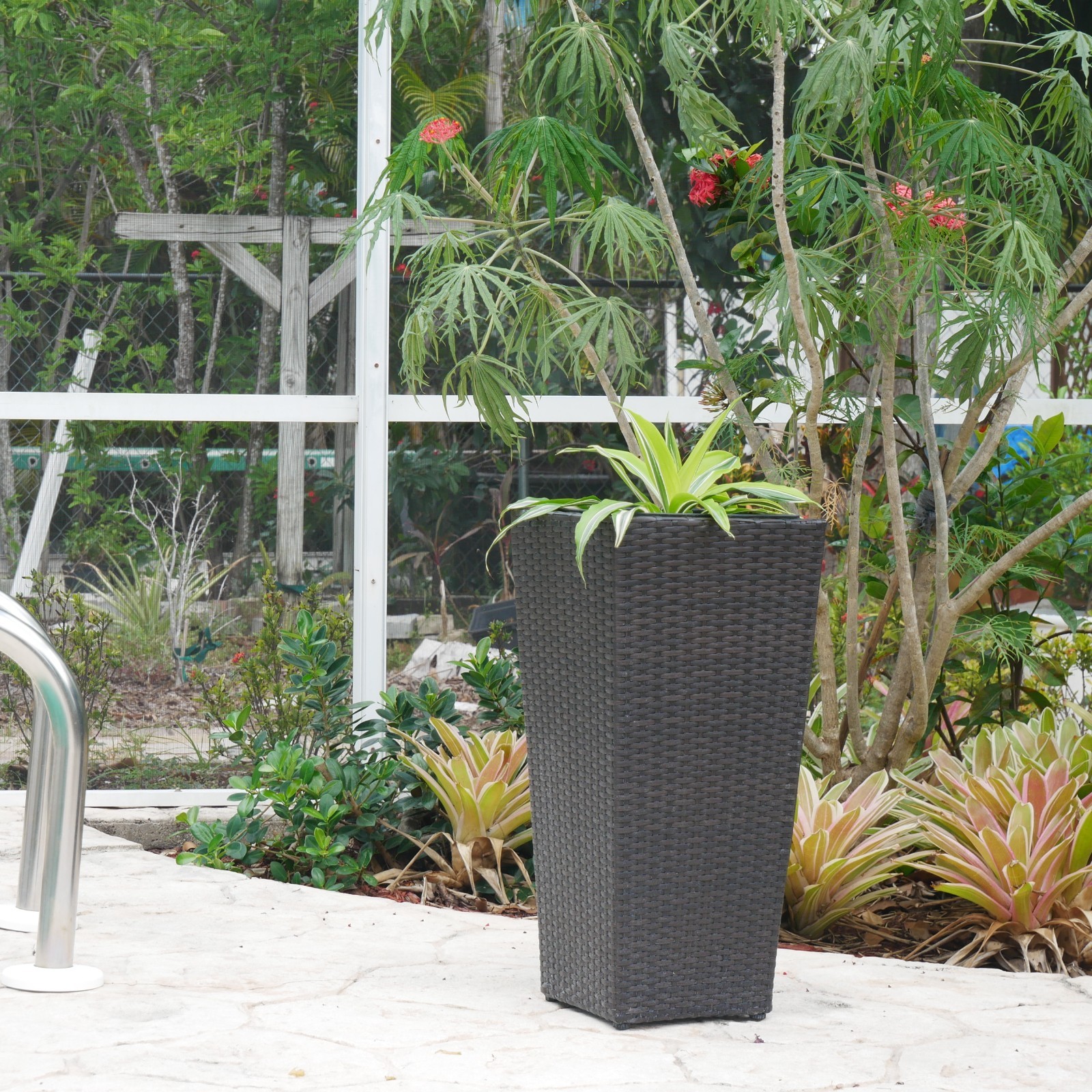 Conical Wicker Planter