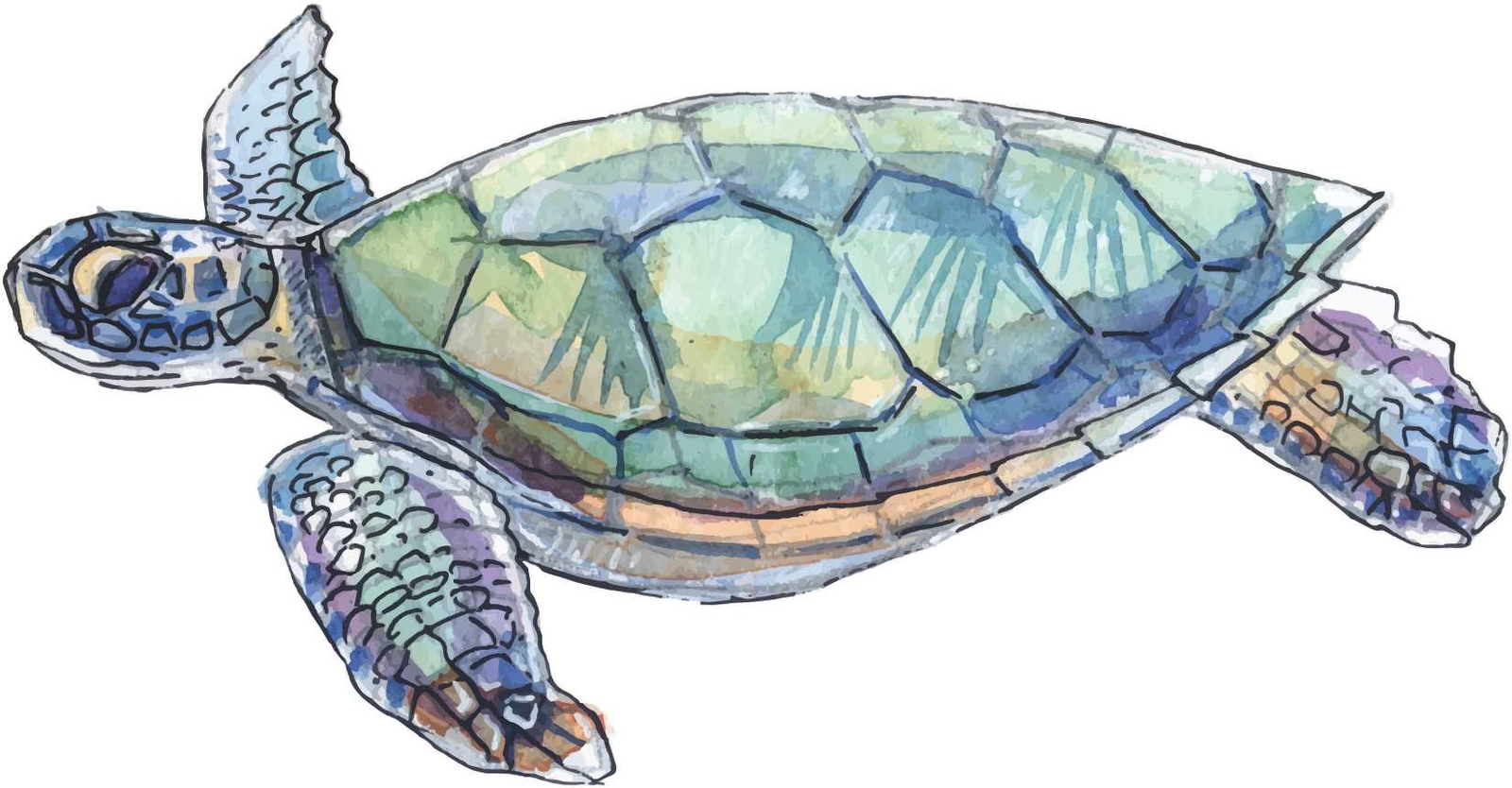 5.5in x 3in Left Facing Sea Turtle Vinyl Sticker Car Truck Vehicle Bumper Decal