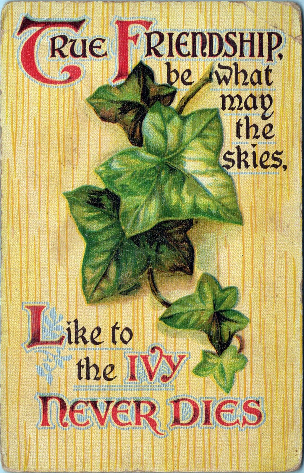 Divided Back Postcard Friendship Ivy Motto Verse