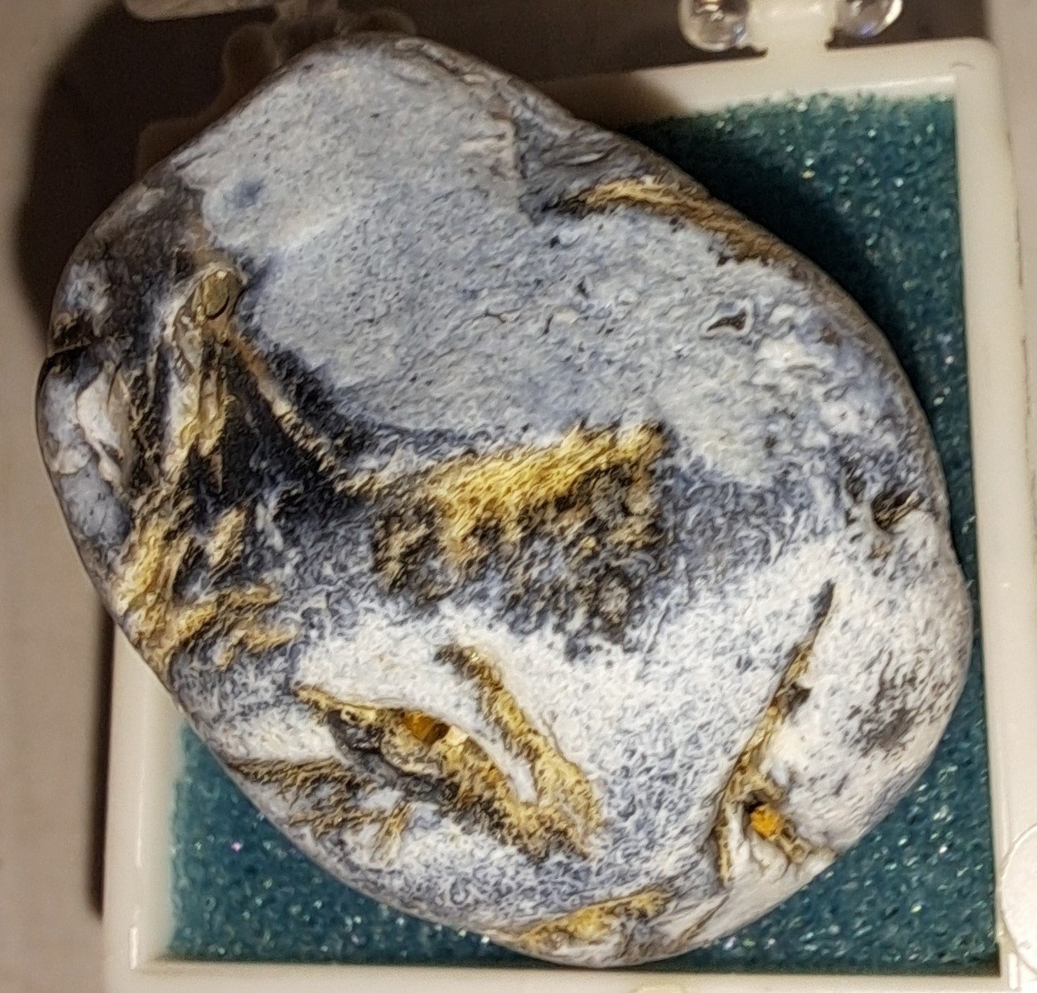 OREGON AGATE COLLECTION – 19 SPECIMENS IN PLEXI CASES – SUPERB COLORS & PATTERNS