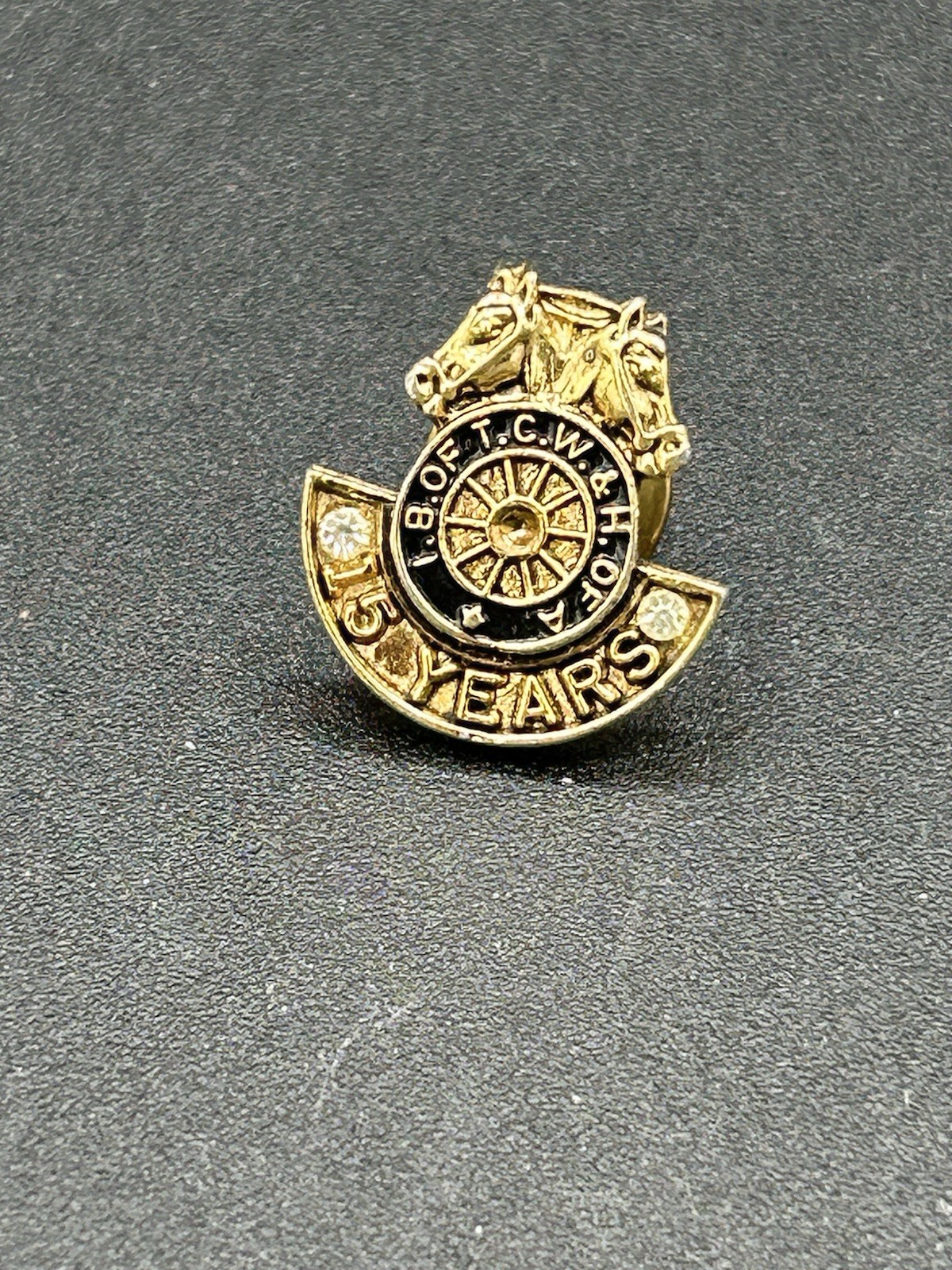 International Brotherhood Of Teamsters Union Pin Teamsters IB Of T CW
