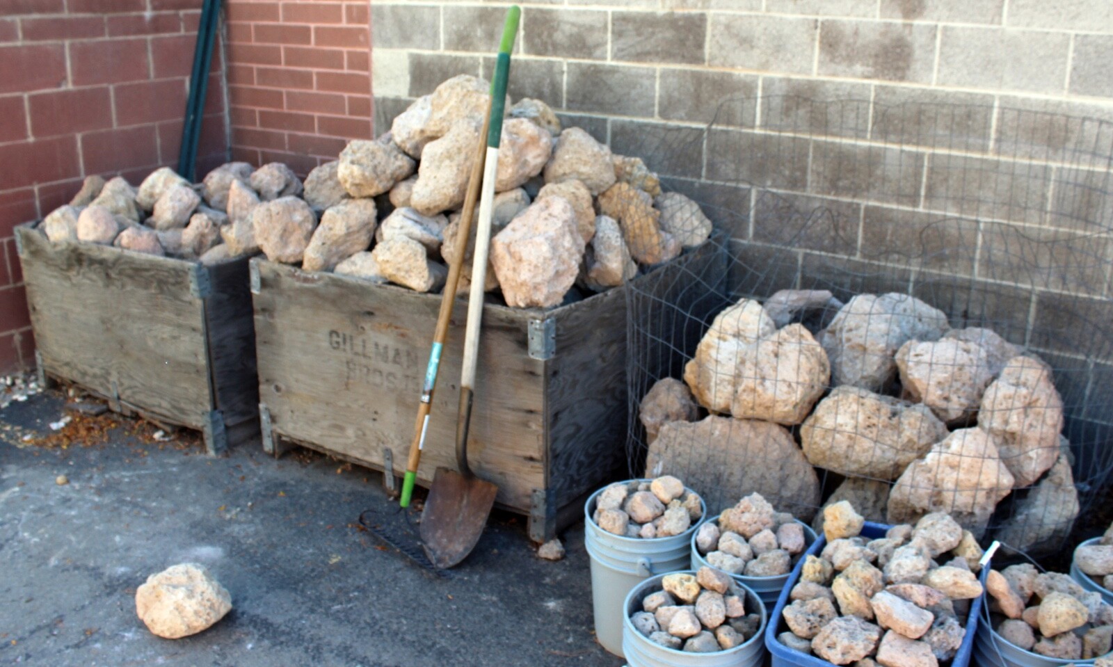 Large Pumice Sample from Oregon • 6″ to 10″ Diameter • 2 to 3 pounds