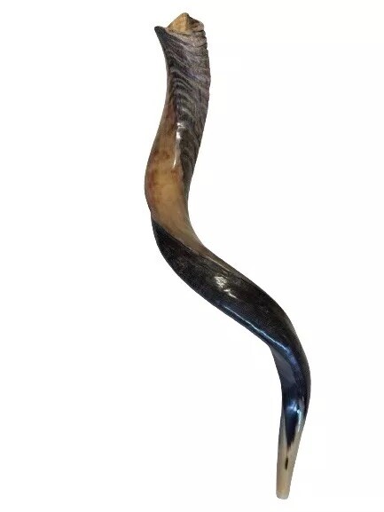 Yemenite Shofar Kudu Horn 27”-31”(70-80cm) KOSHER Made Free Shipping