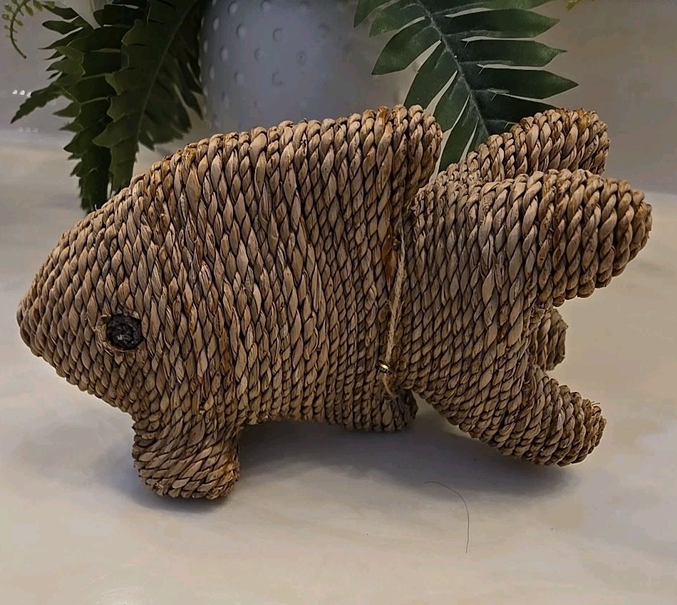 Vtg Woven Rattan Wicker Rope FISH Coastal Boho Nautical Beach Island Decor