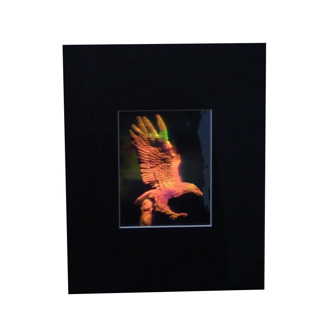 3D Eagle Matted Hologram Picture, Collectible Embossed Type Film