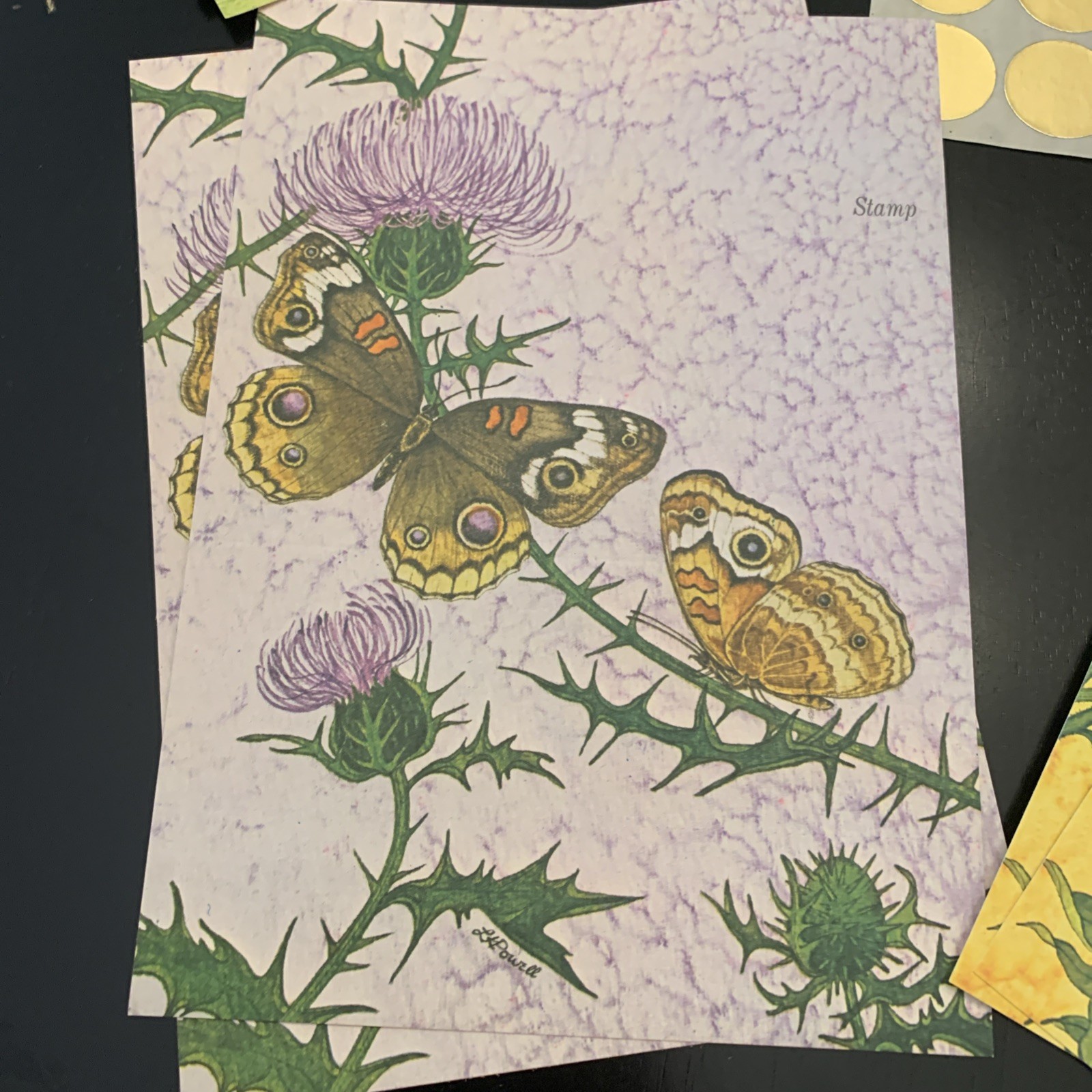 Current Inc Notecards Butterfly Just A Notecards Self Seal Notecards w 12 cards