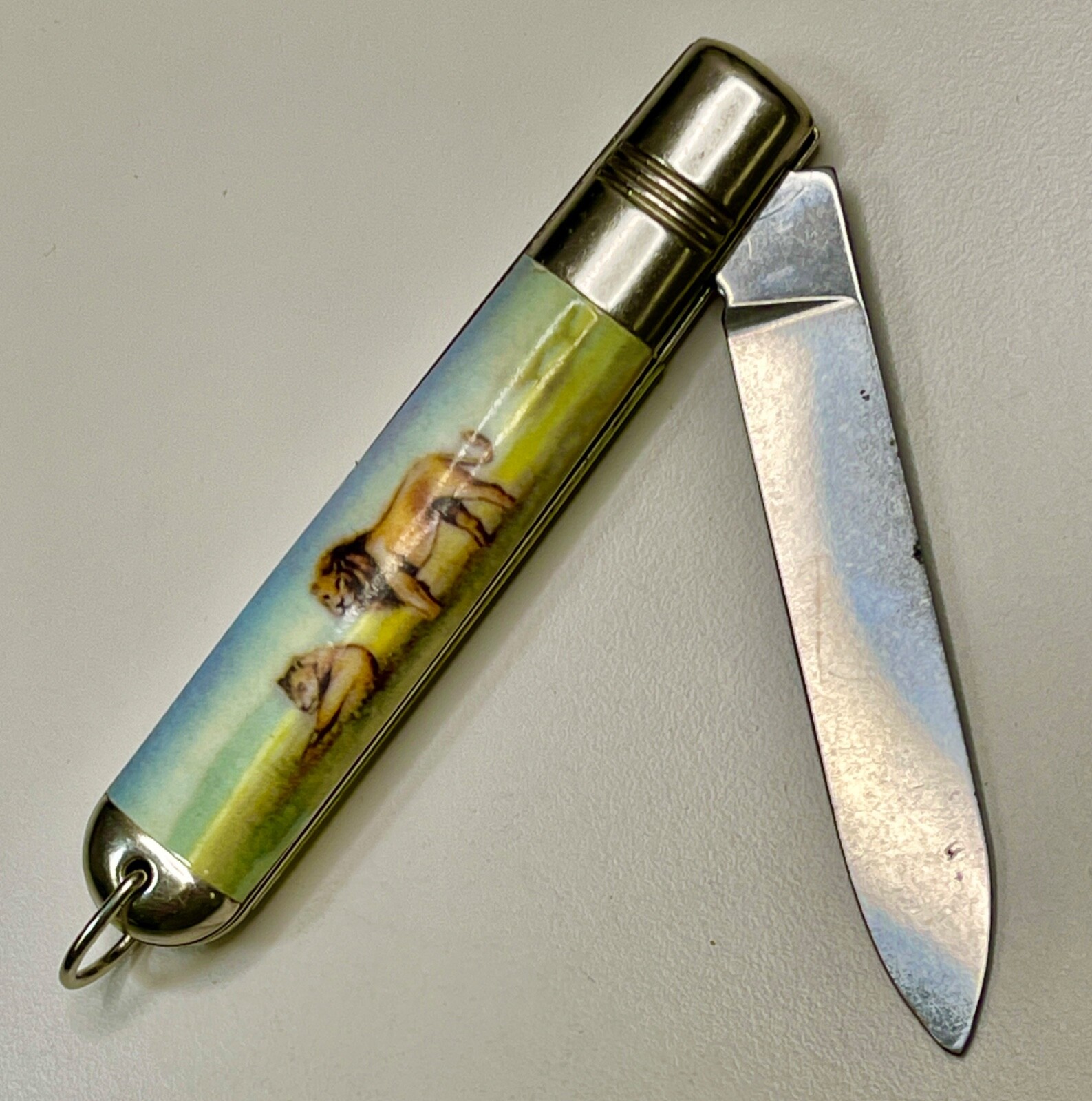 Vintage Large 4″ Long Single-Blade BARLOW with CELLULOID LION Handles — XLNT