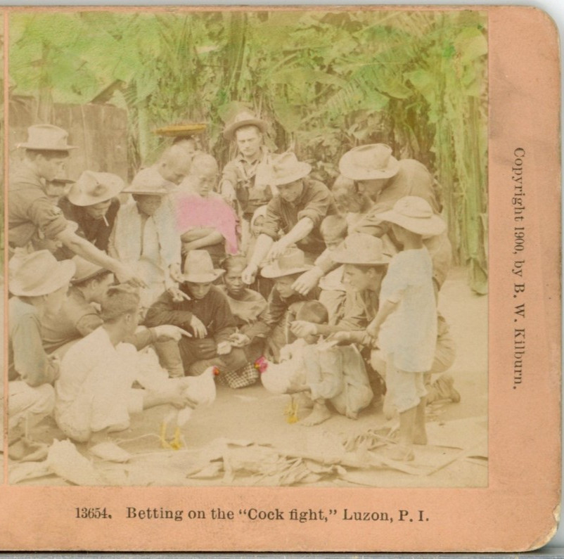 Betting On A Cock Fight, Luzon, Philippines–Kilburn Stereoview B87