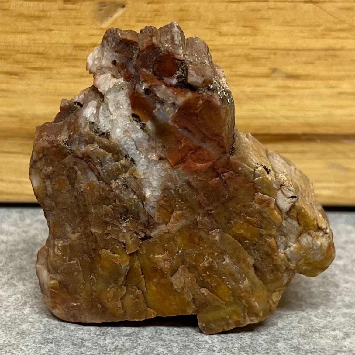 4.7 OZ S UTAH Raw Rough PETRIFIED FOSSIL WOOD LOG White Crystals, Wood Rings X5