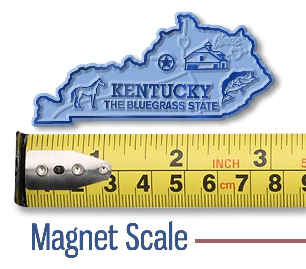Original State Magnet Collector’s Set – 51 Magnets with Metal Display Board