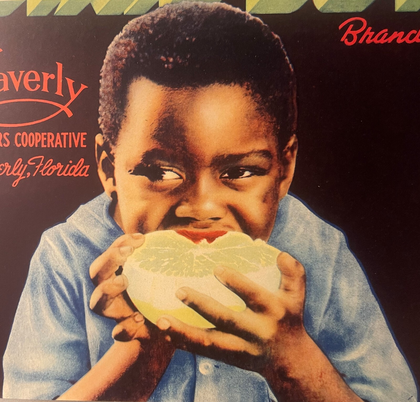 Antique Vintage Dixie Boy Crate Label, Waverly, FL 1930s, Adorable Child!