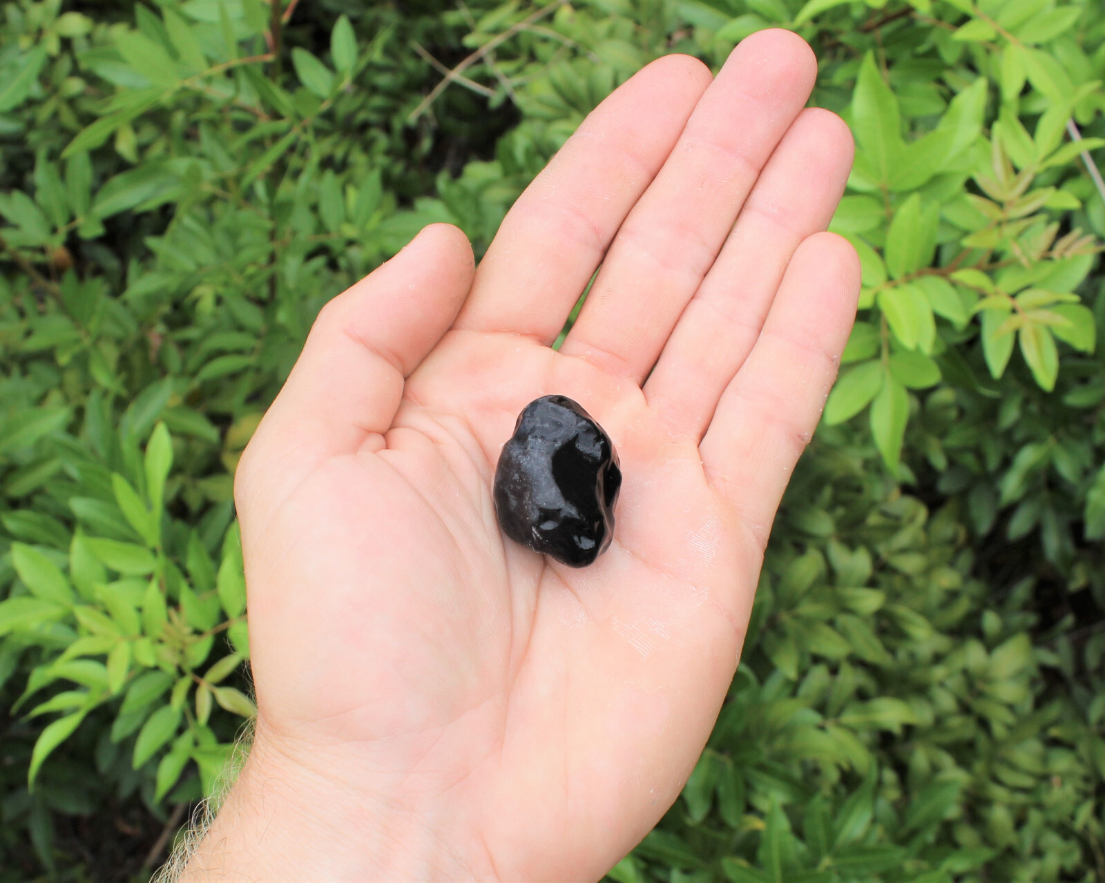 Rough Apache Tears Natural Stones – 10 Piece Lot