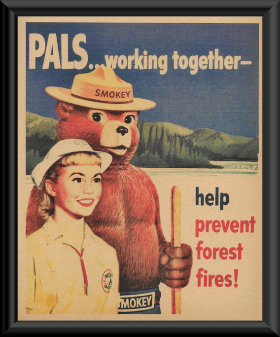 1950s Smokey The Bear Forest Fires Poster Reprint On Original Period Paper *P252