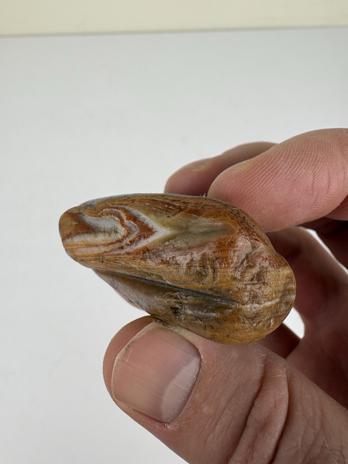 2.2 Ounce Water Level Fortification Lake Superior Agate