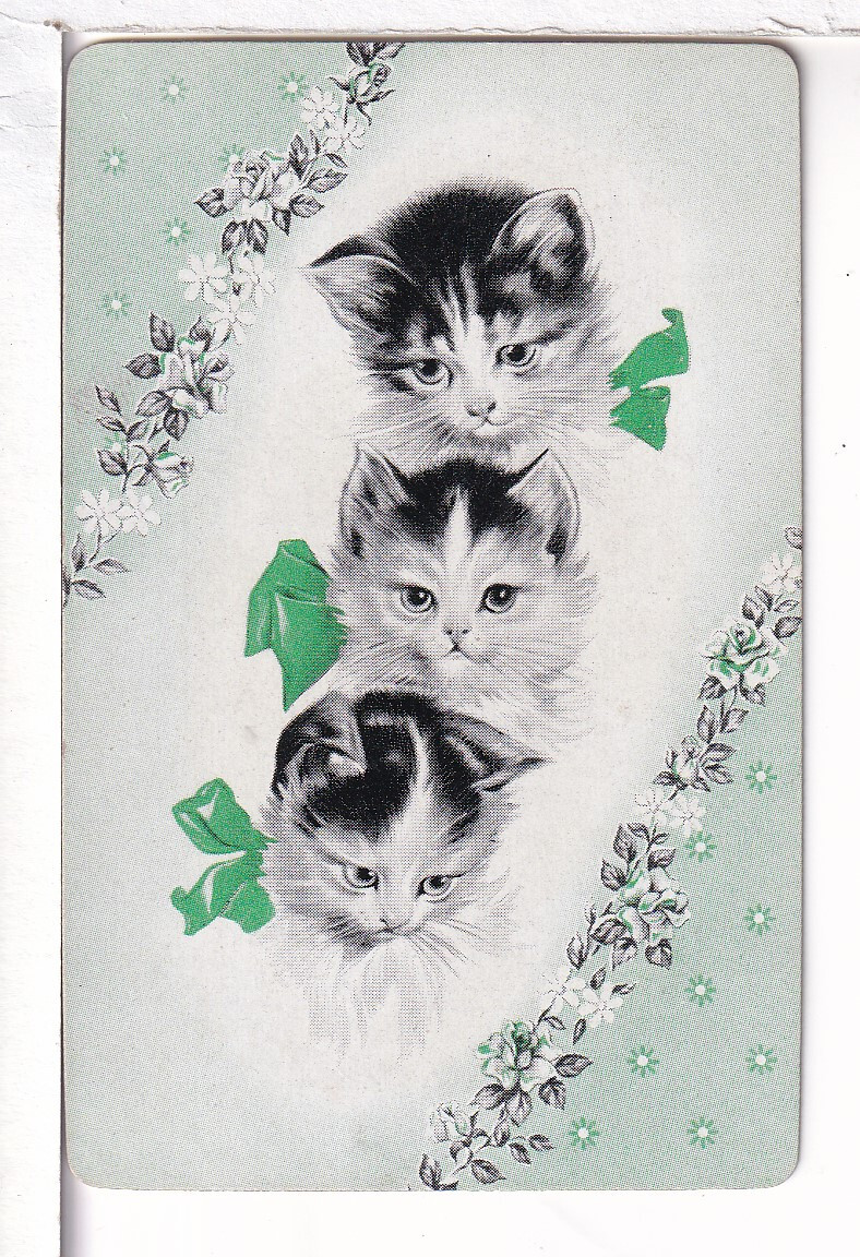 Single Vintage ID Named Cats, “Wee Three” Playing Card CT 8-13 C. Grn, Smooth