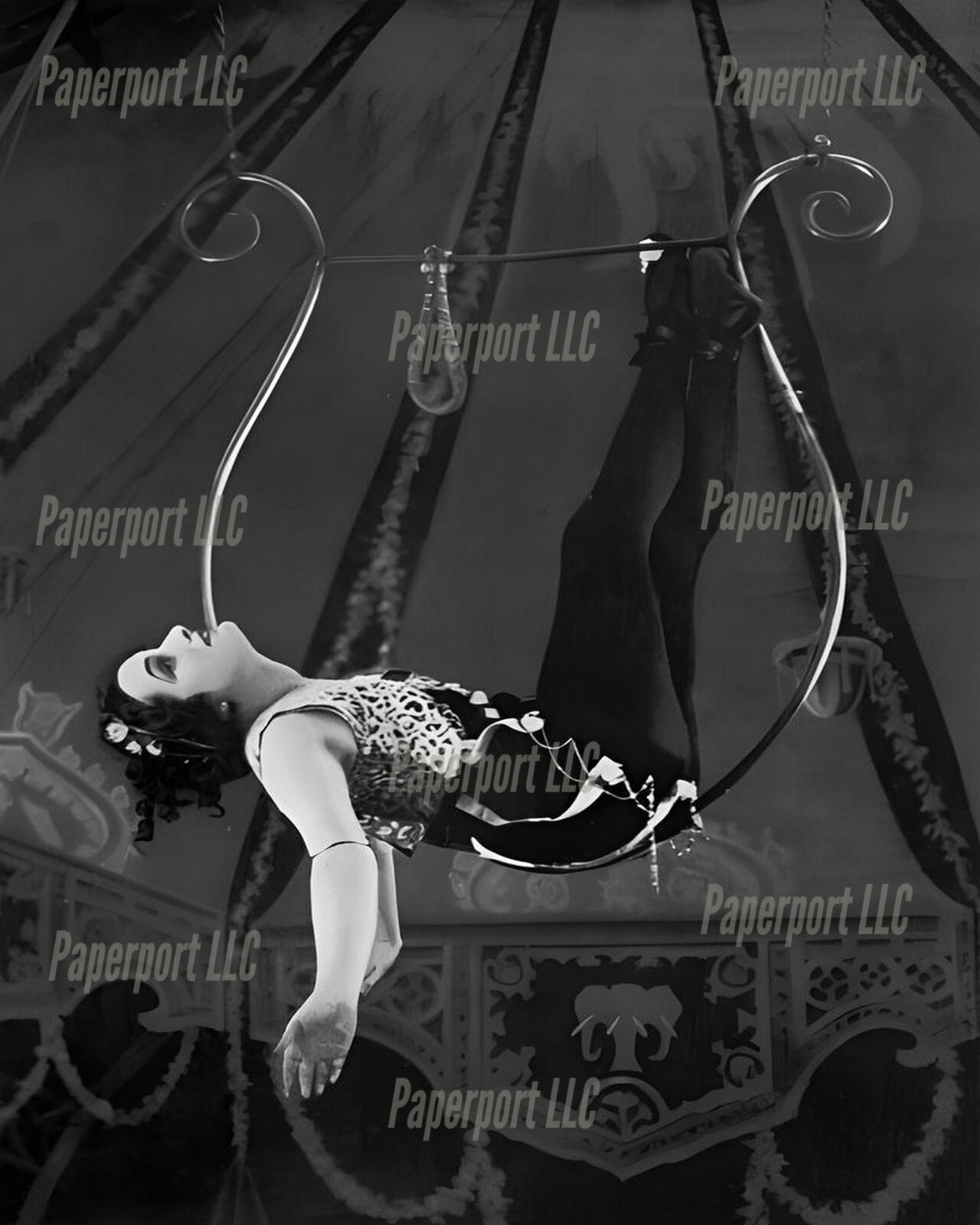 1900’s Circus Performer 8×10 Photo