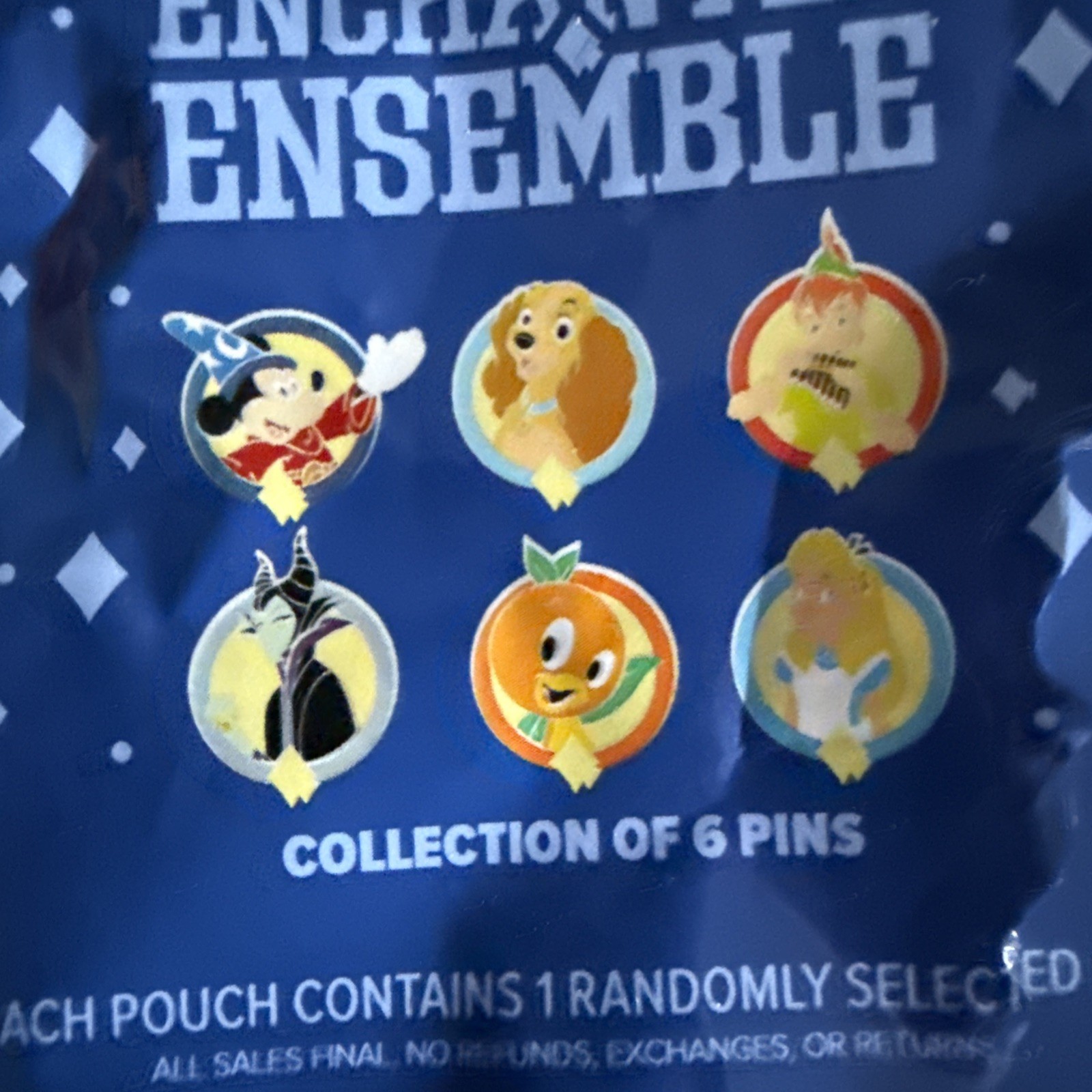 Disney Enchanted Ensemble Lady Pin