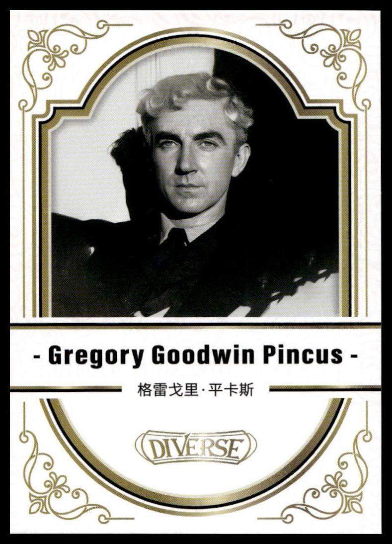 2024 Kakawow Diverse Gregory Goodwin Pincus #DK-B-073