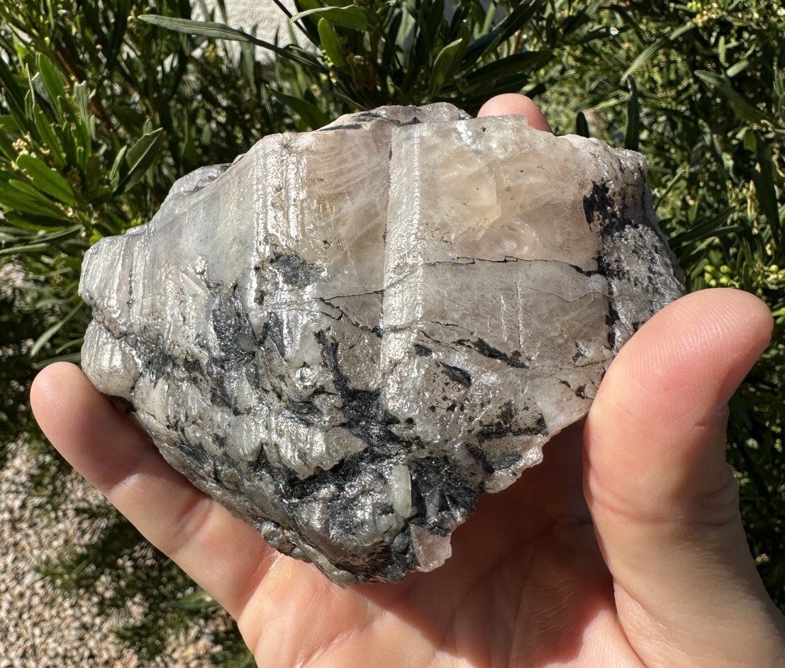 Large Brazilian Phenacite Crystal, Phenakite, Top Quality, 1 lb 7.4 Ounces, 662g